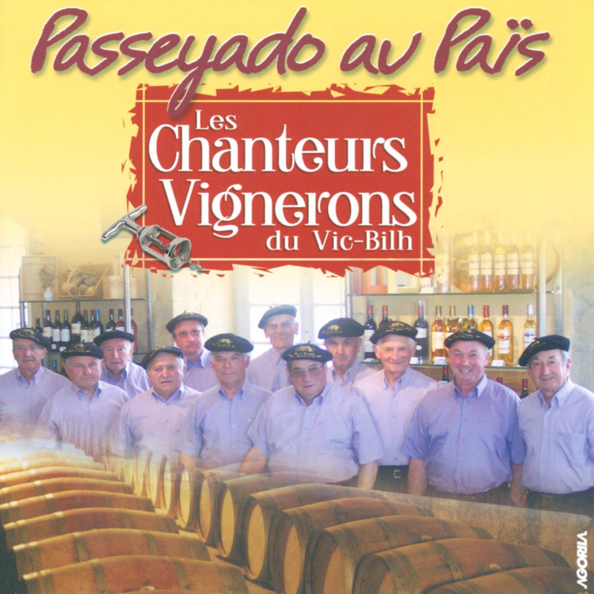 Постер альбома Passeyado Au Païs