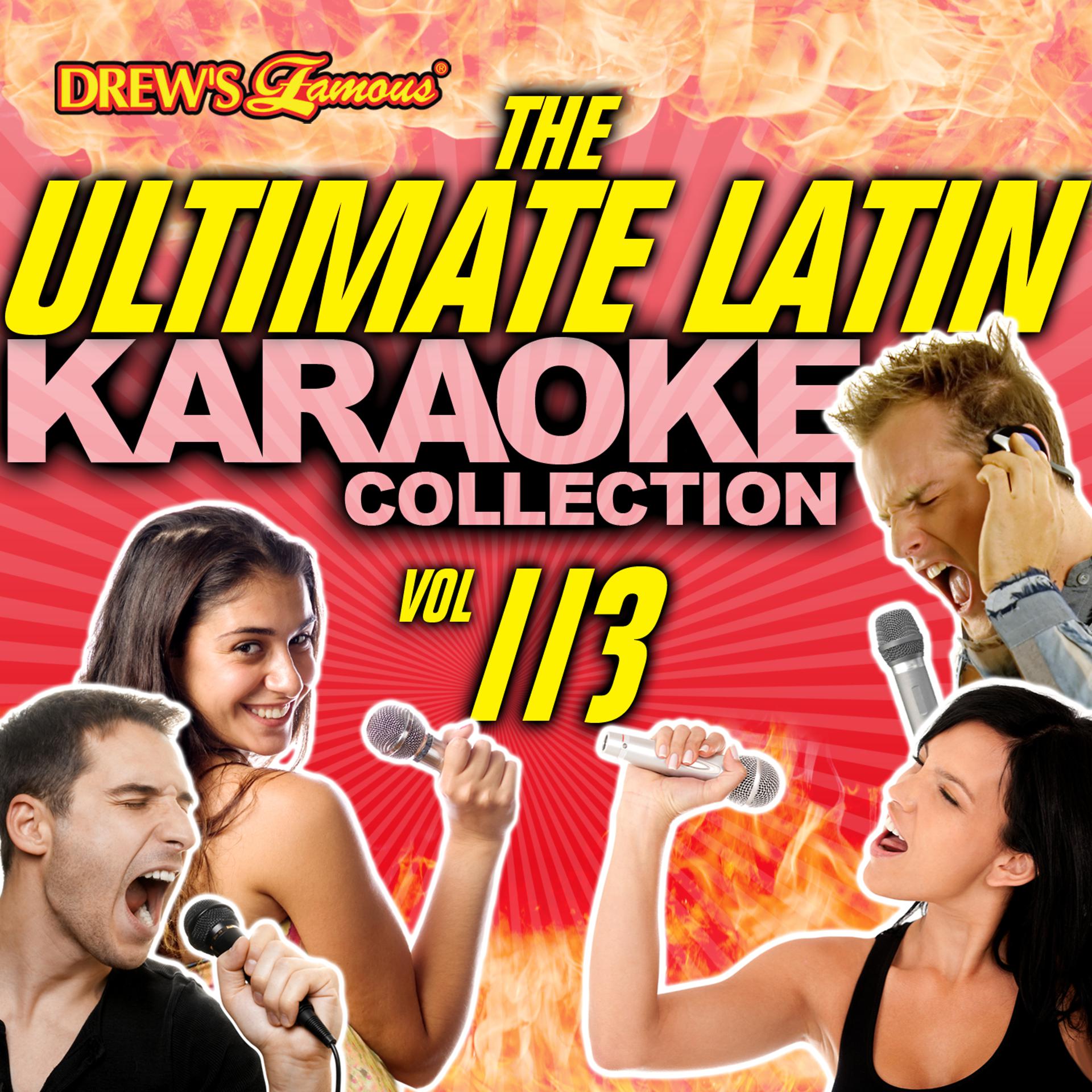 Постер альбома The Ultimate Latin Karaoke Collection, Vol. 113