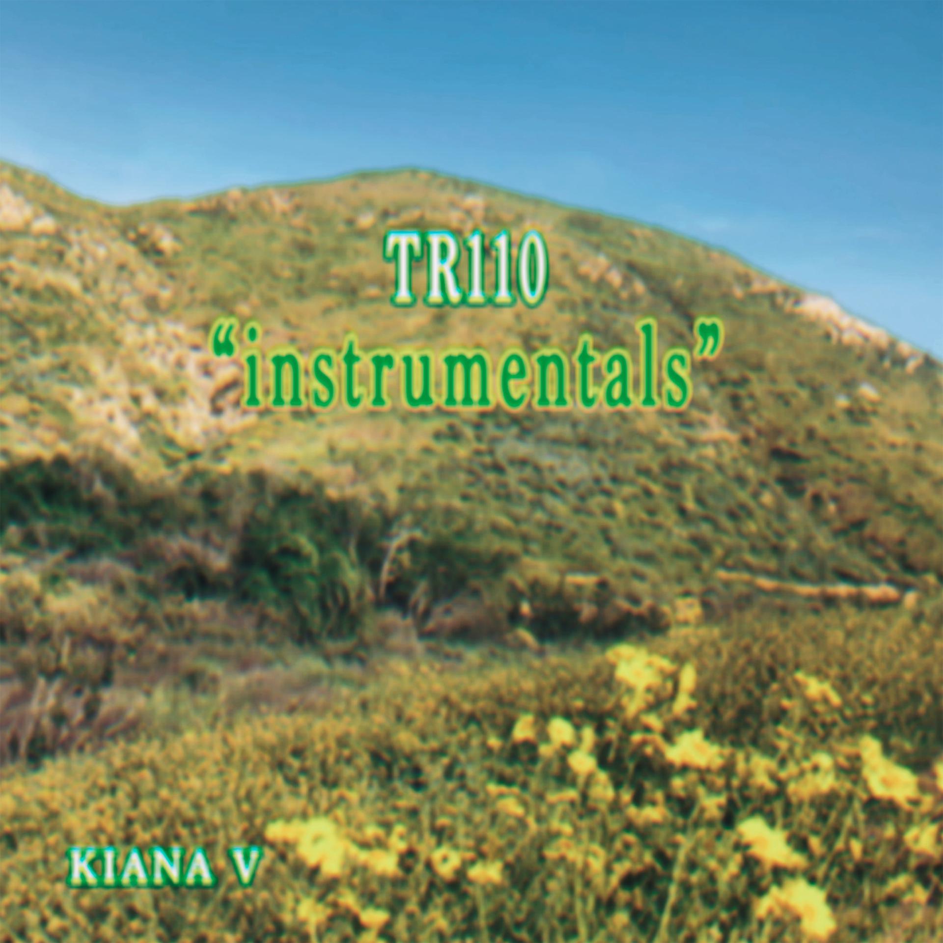 Постер альбома instrumentals