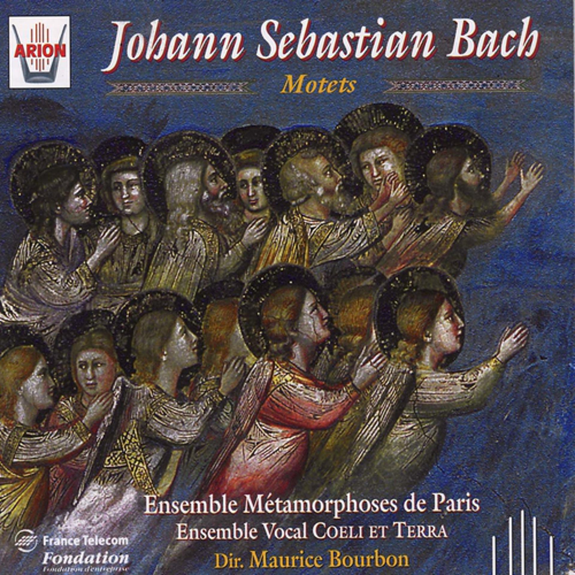 Постер альбома Bach : Motets