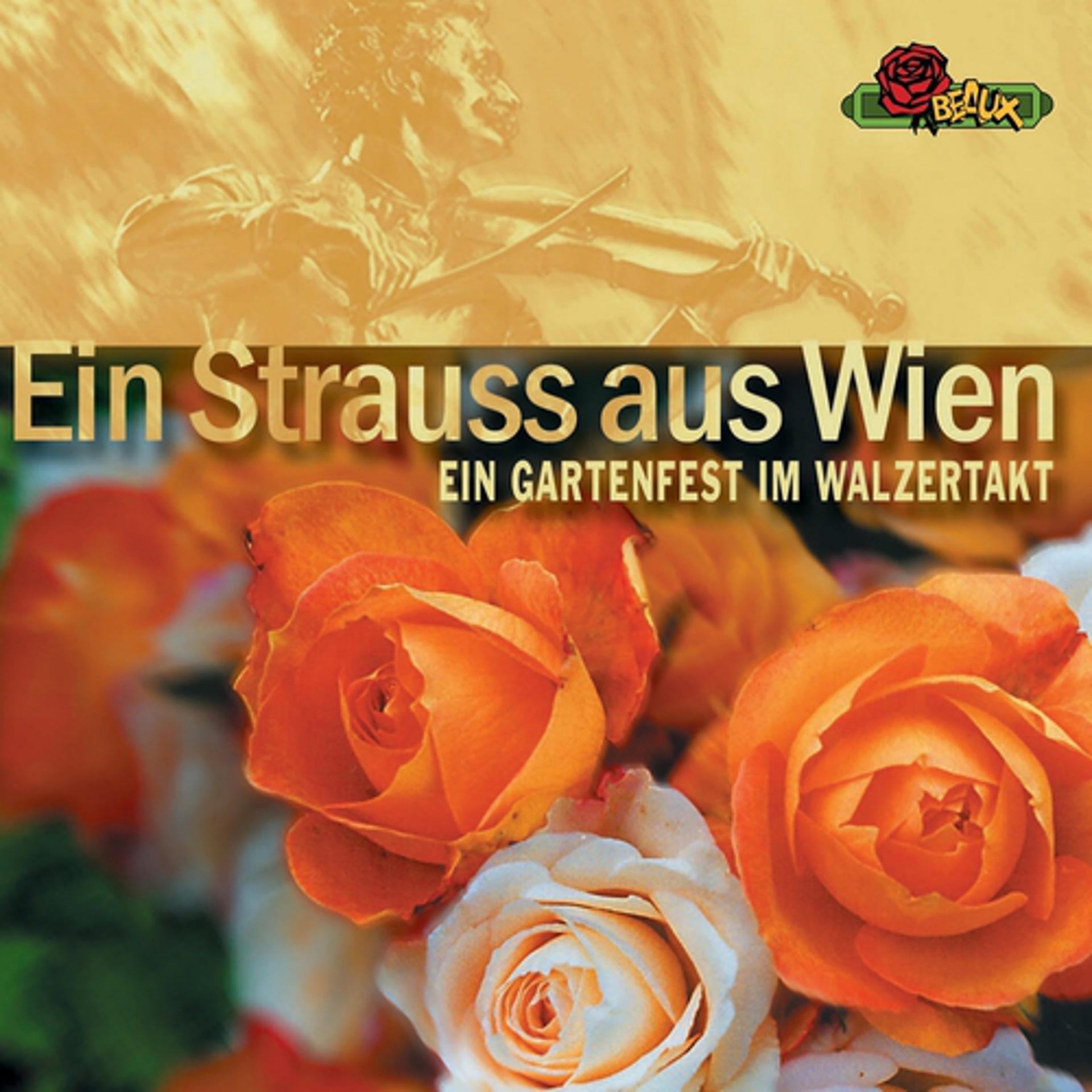 Постер альбома Ein Strauss aus Wien (Ein Gartenfest im Walzertakt)