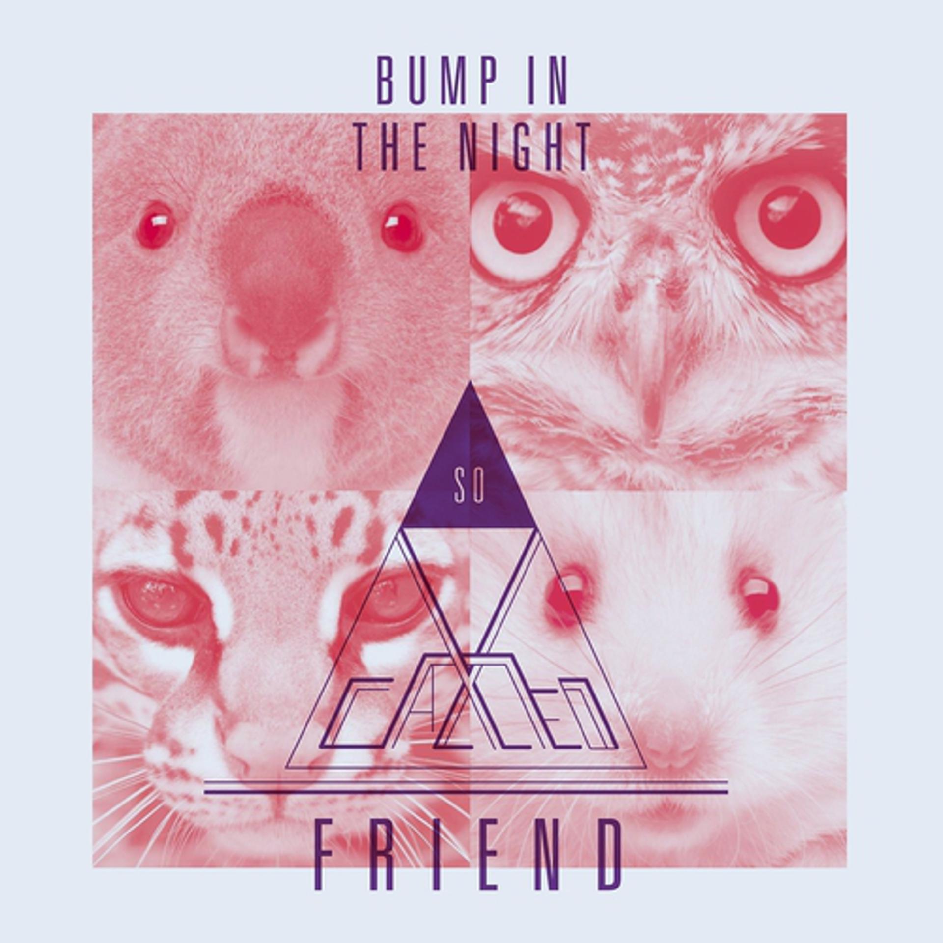 Постер альбома Bump in the Night