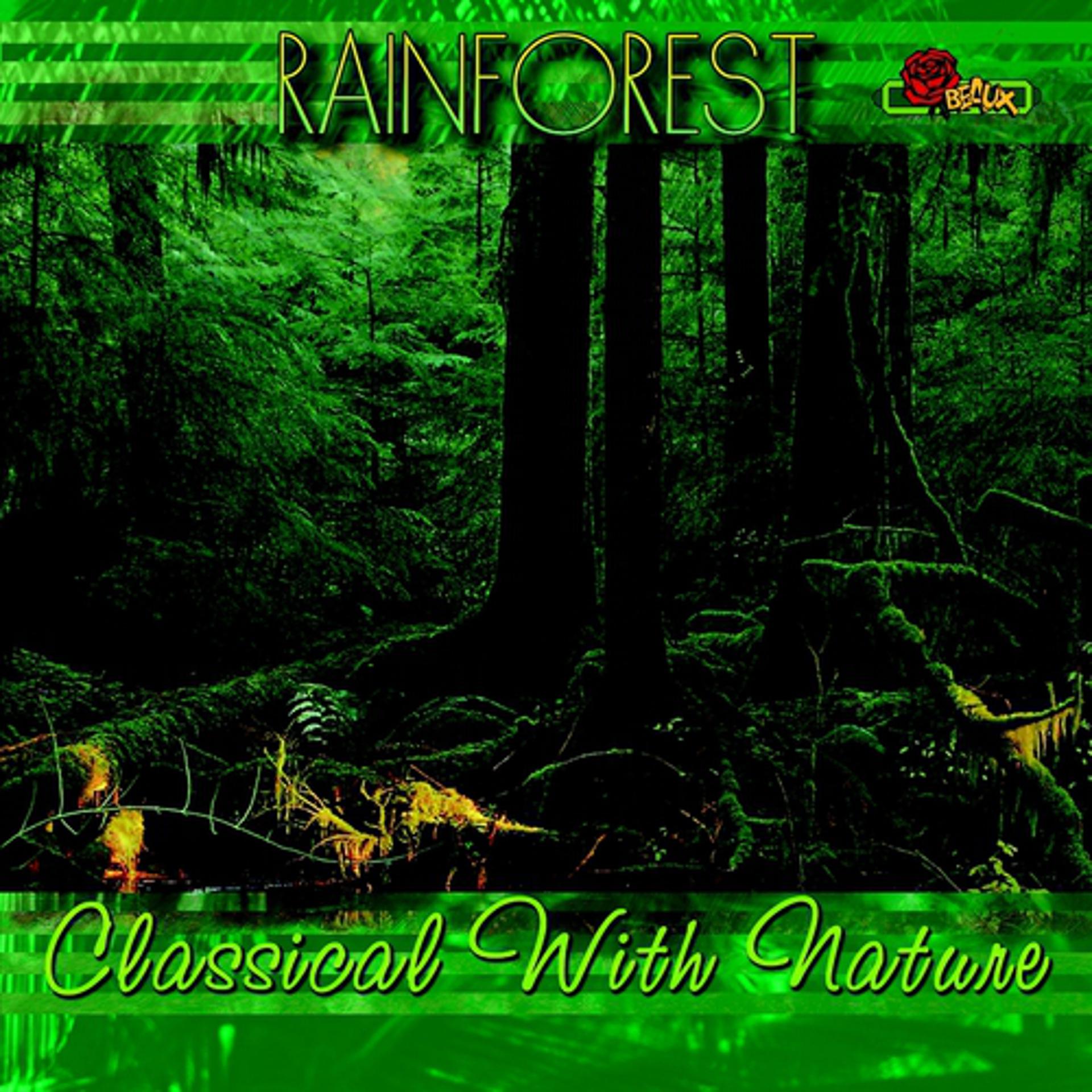 Постер альбома Rainforest