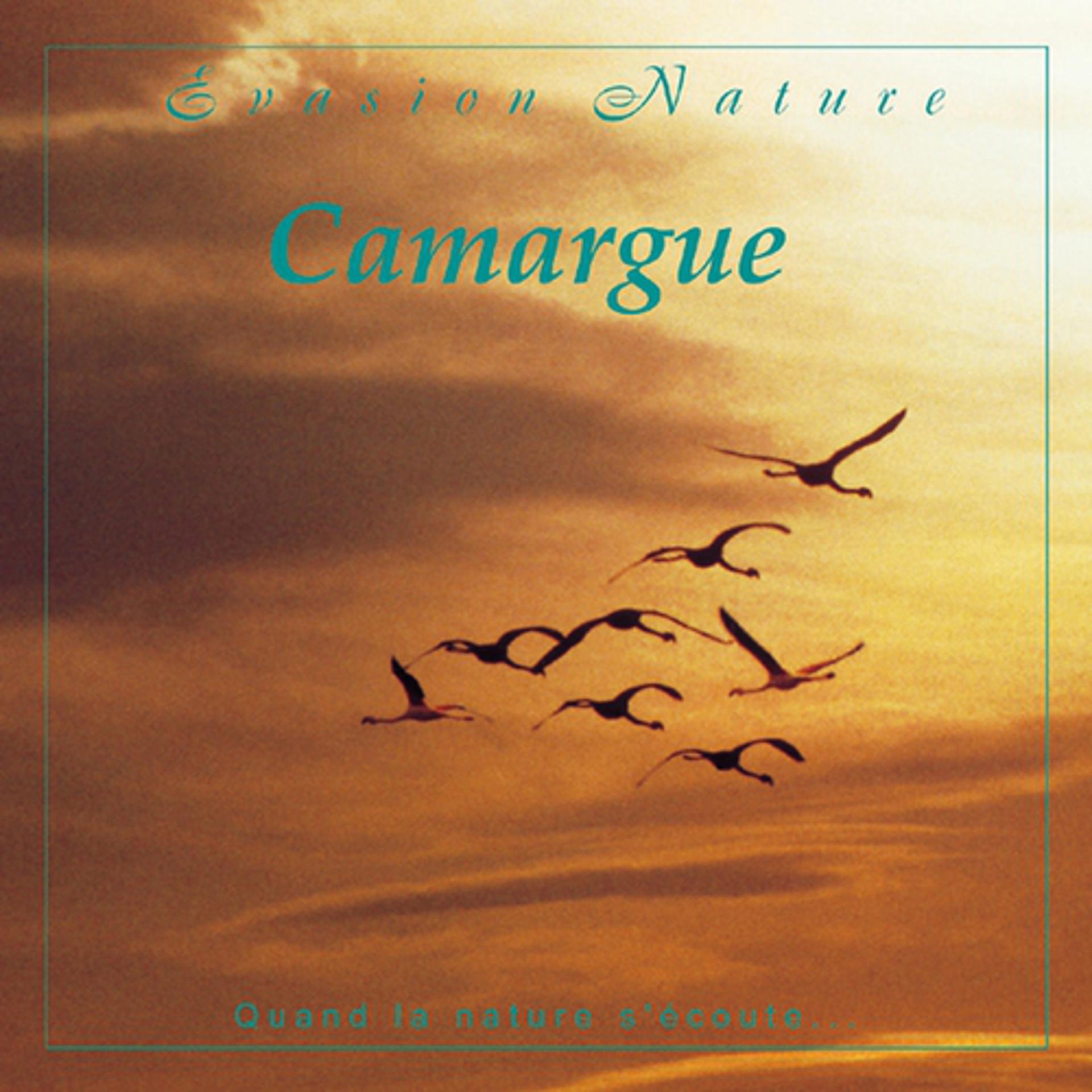 Постер альбома Evasion nature : Camargue