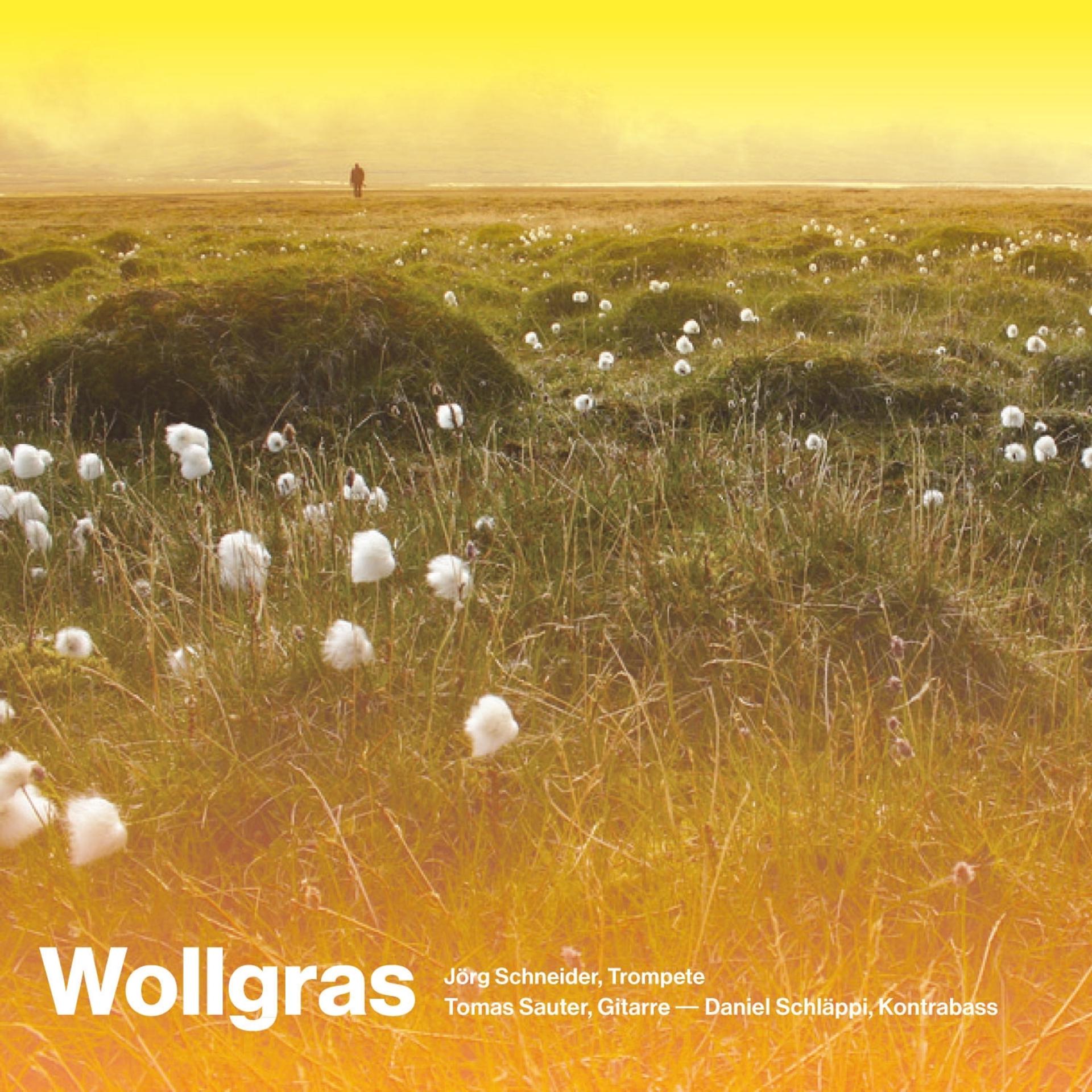 Постер альбома Wollgras