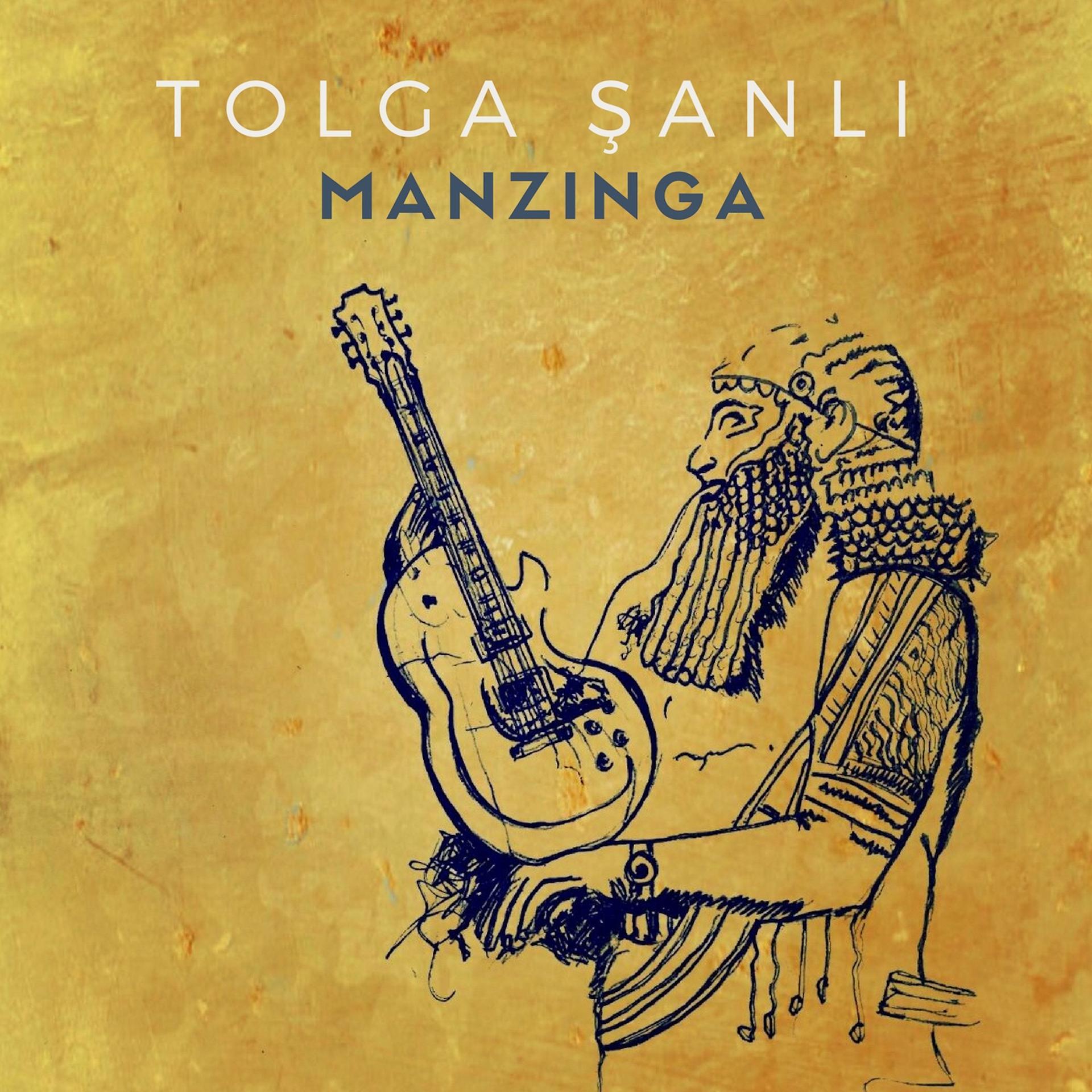 Постер альбома Manzinga