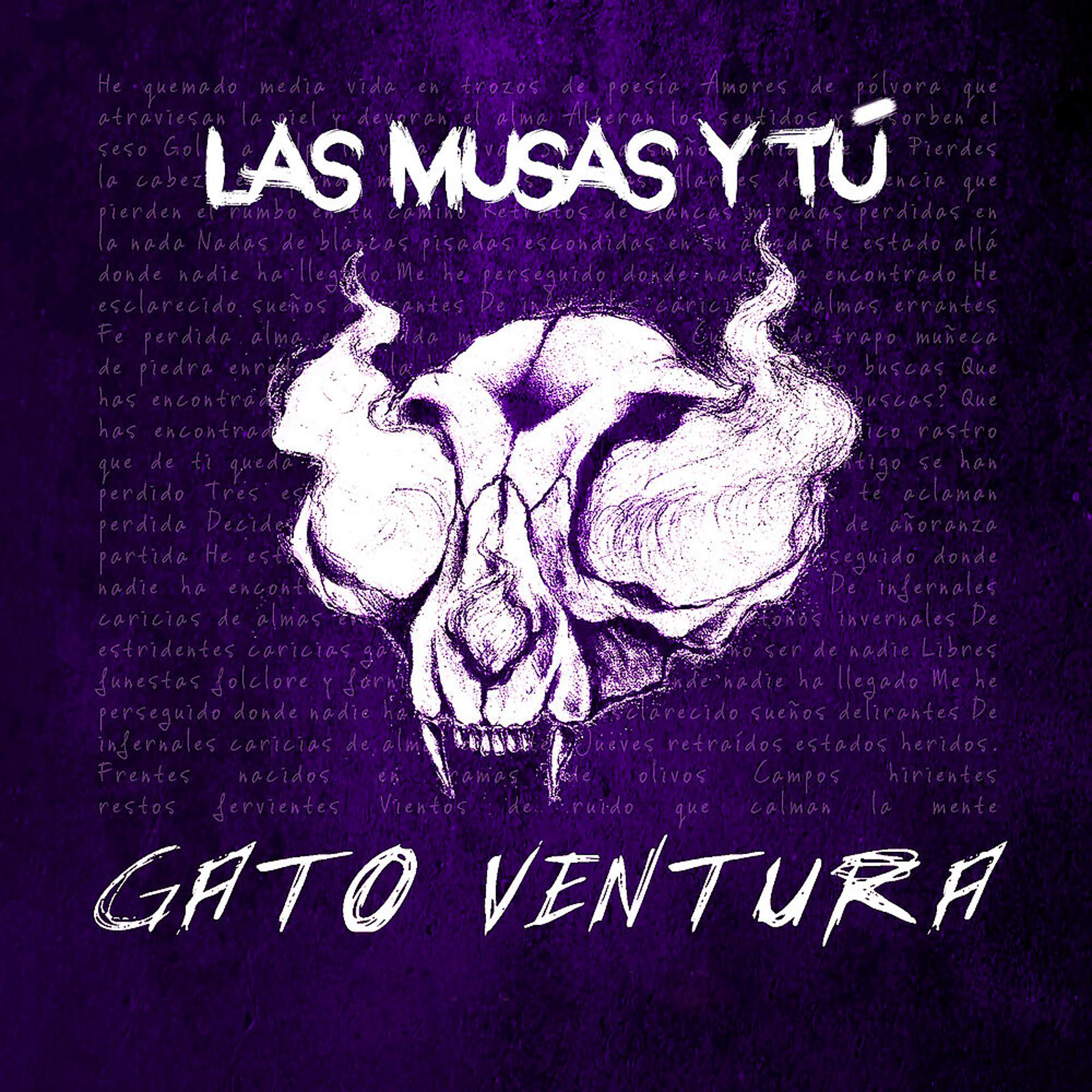 Постер альбома Las Musas y Tú