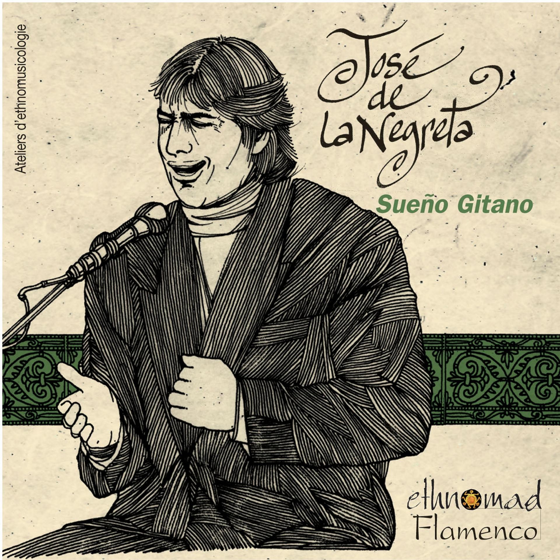 Постер альбома Flamenco, Vol. 8 : Sueno Gitanos