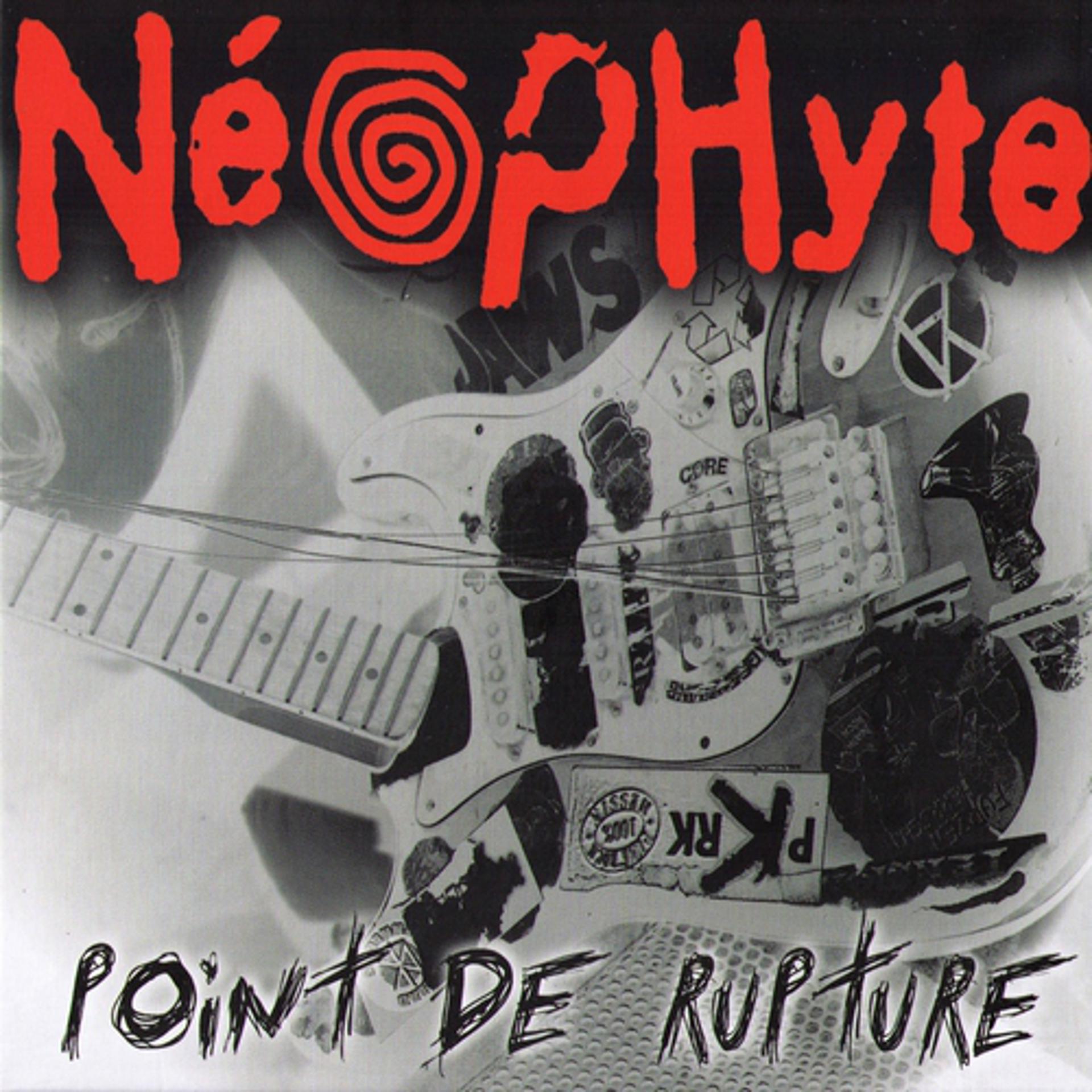 Постер альбома Point De Rupture