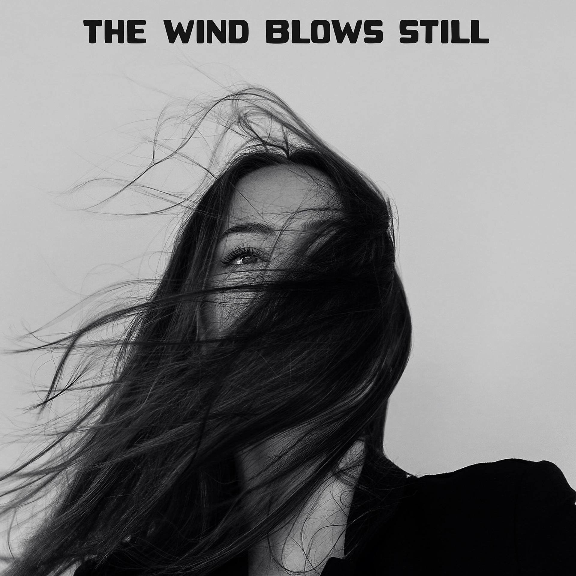 Постер альбома The Wind Blows Still