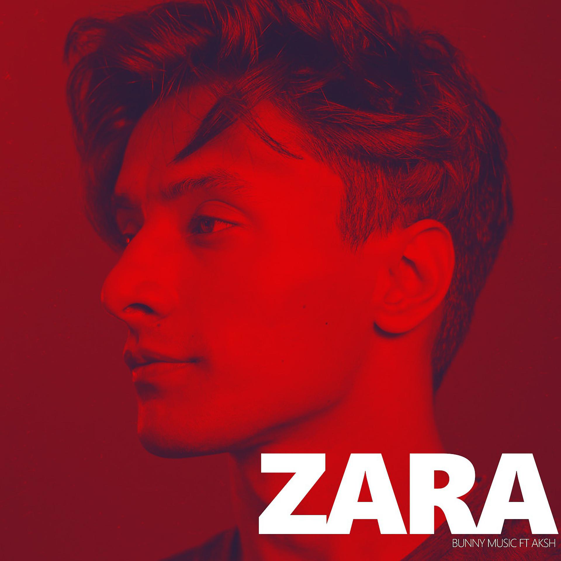Постер альбома Zara
