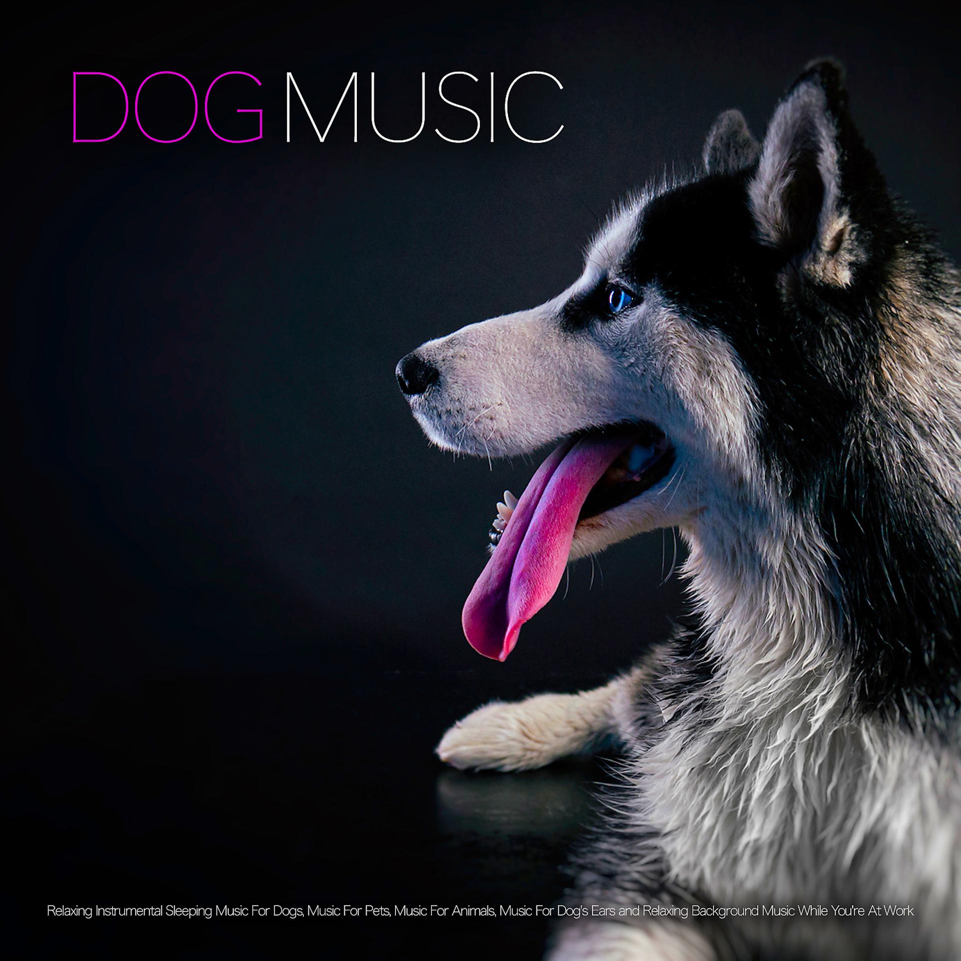 Постер альбома Dog Music: Relaxing Instrumental Sleeping Music For Dogs, Music For Pets, Music For Animals, Music For Dog's Ears and Relaxing Background Music While You're At Work