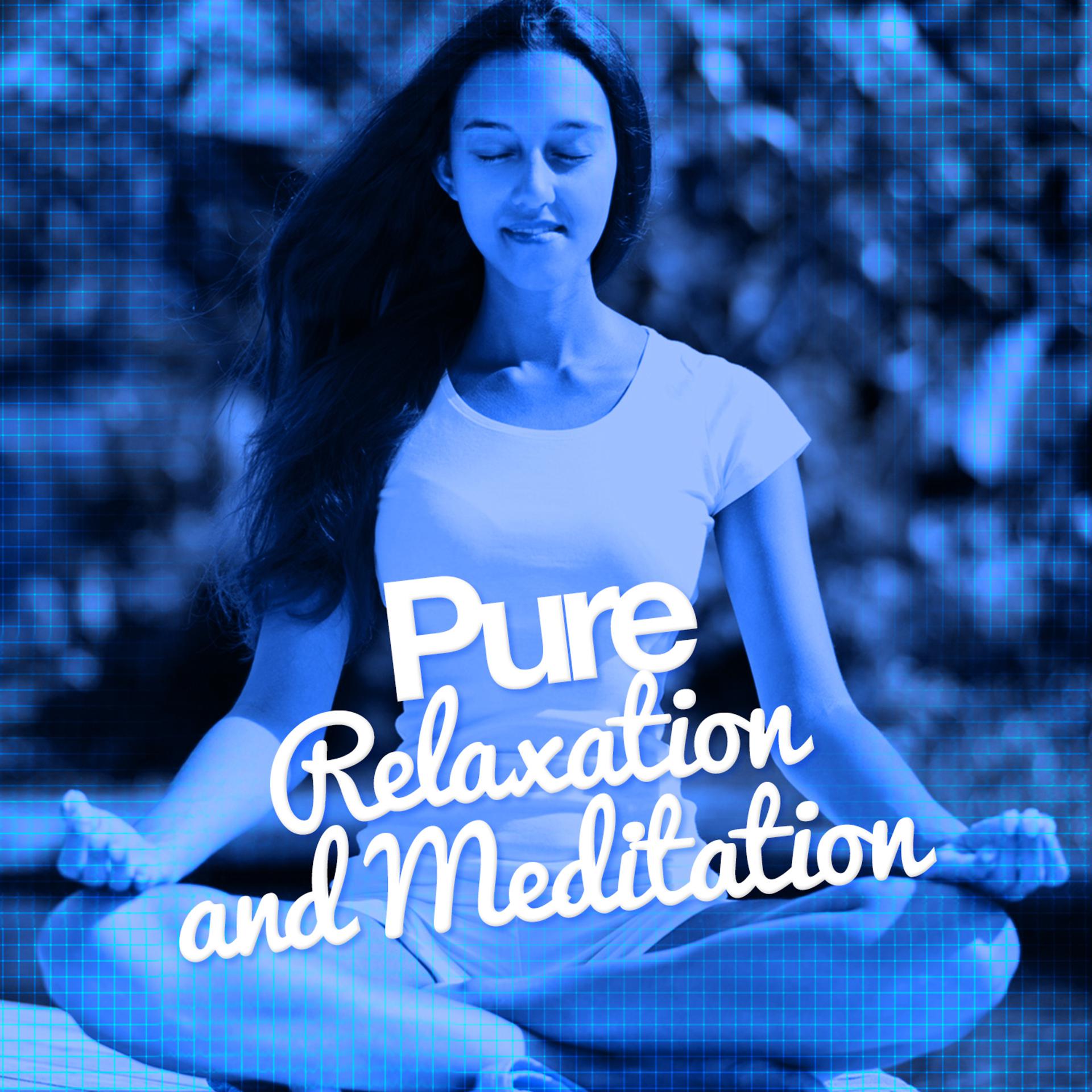 Постер альбома Pure Relaxation and Meditation
