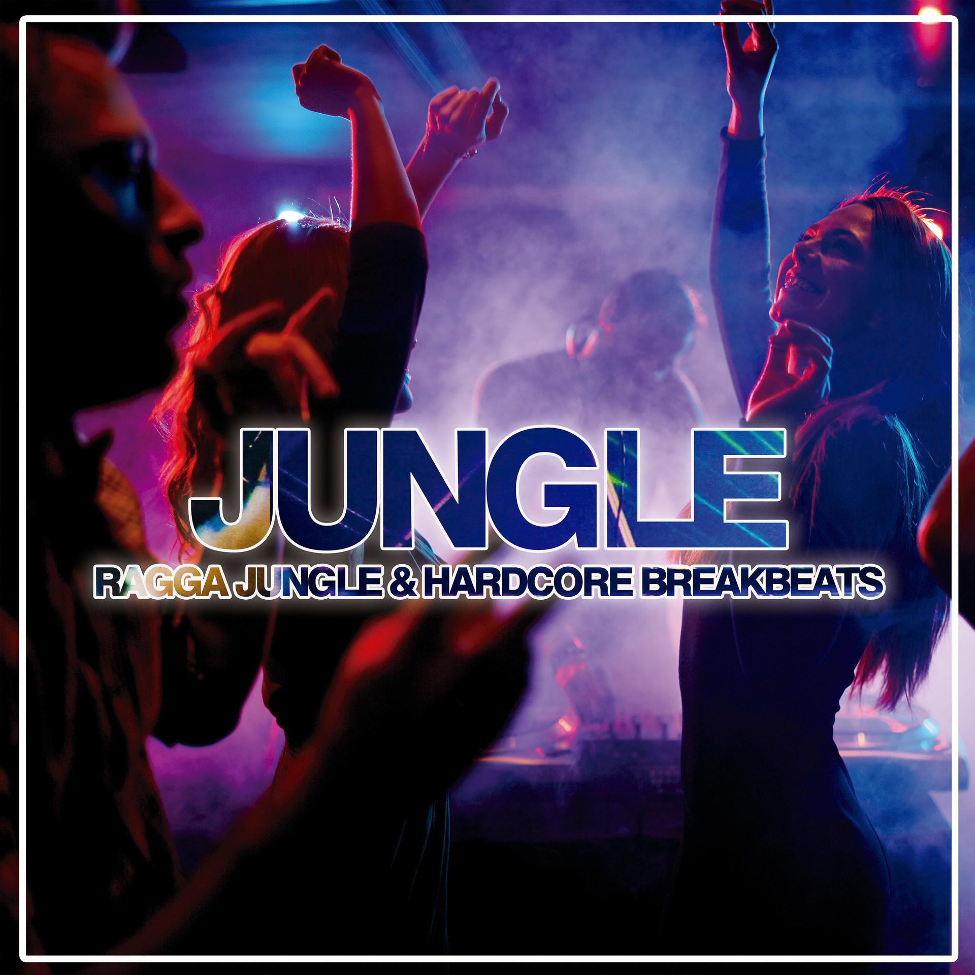 Постер альбома Jungle (Ragga Jungle & Hardcore Breakbeats)