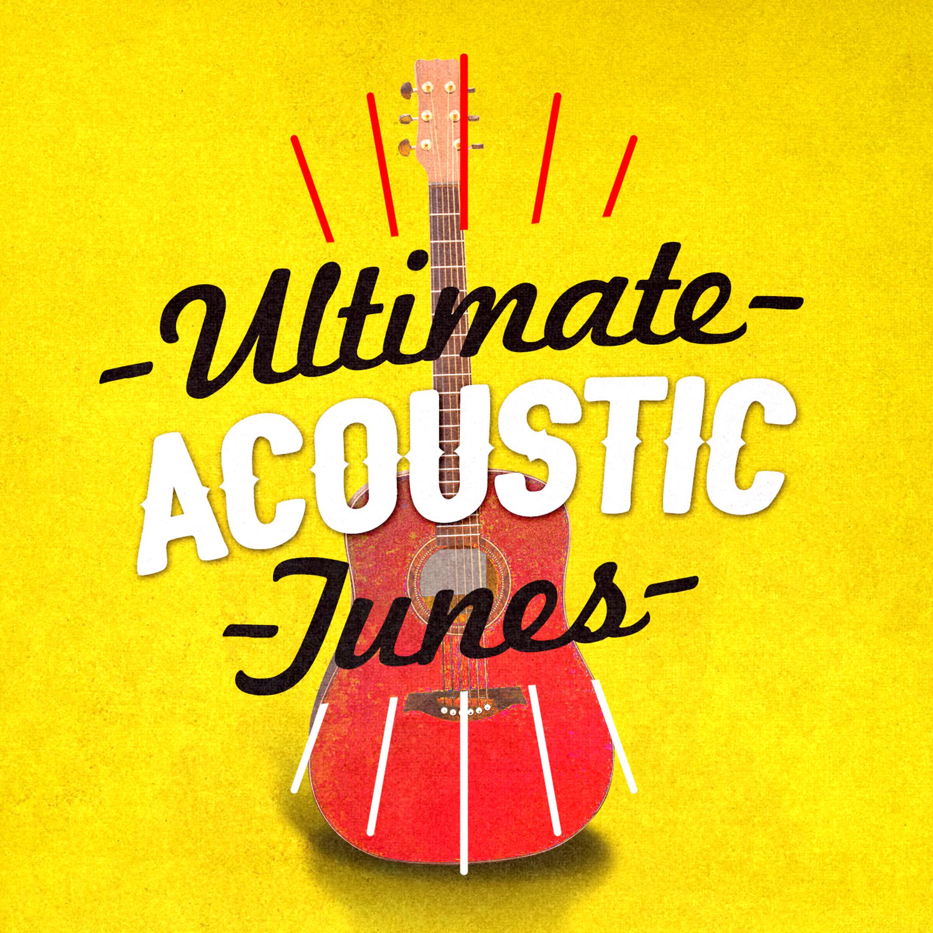 Постер альбома Ultimate Acoustic Tunes