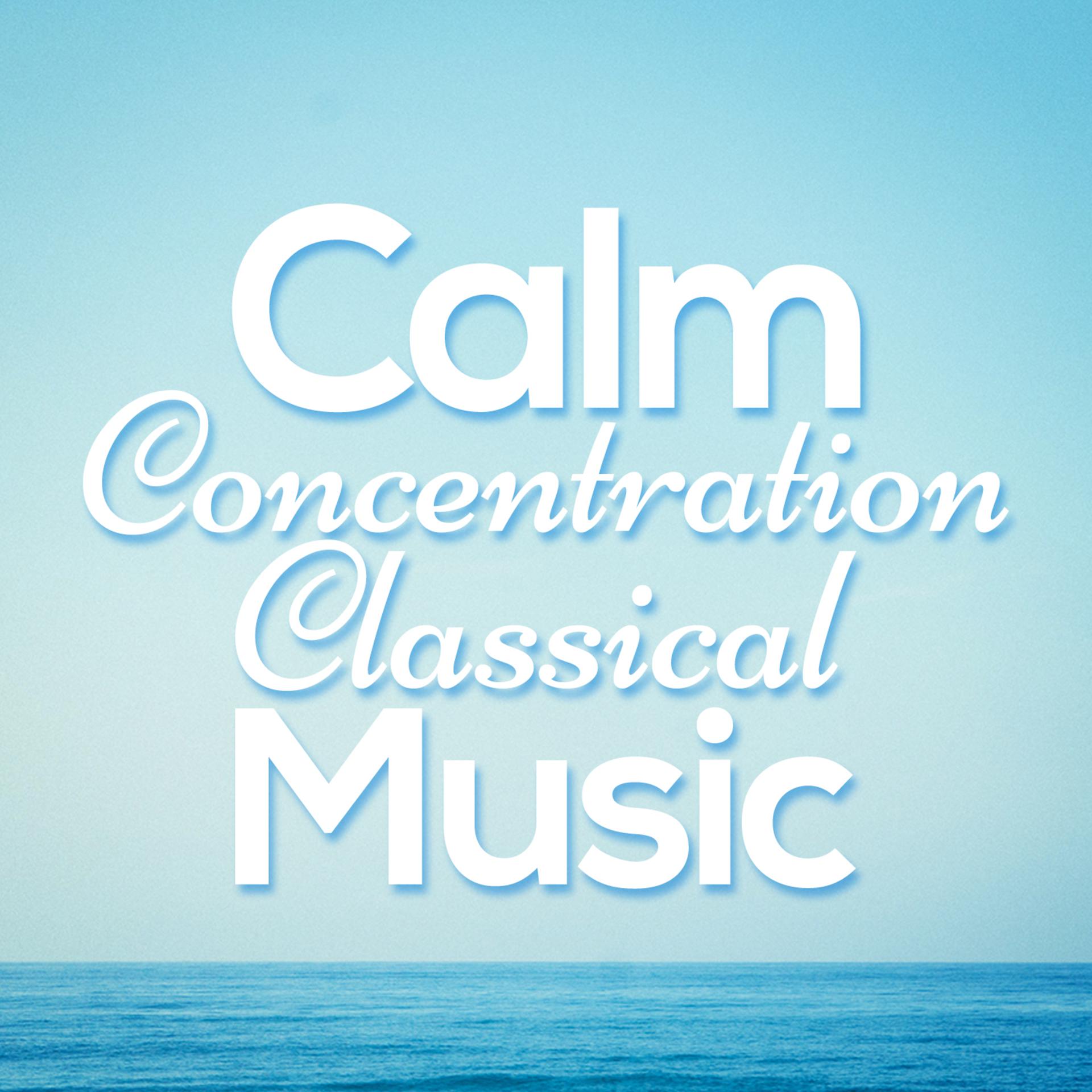 Постер альбома Calm Concentration Classical Music