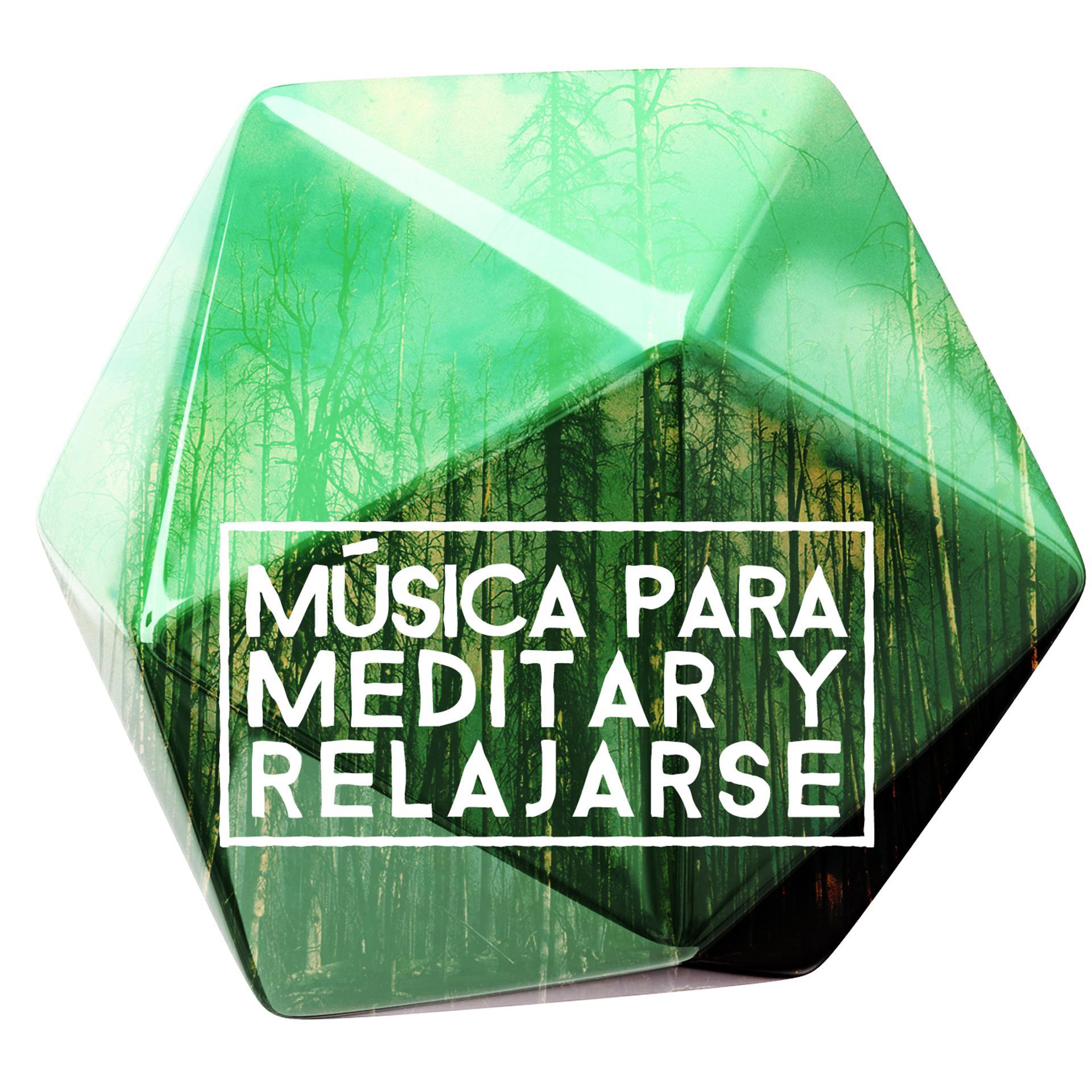 Постер альбома Música para Meditar y Relajarse