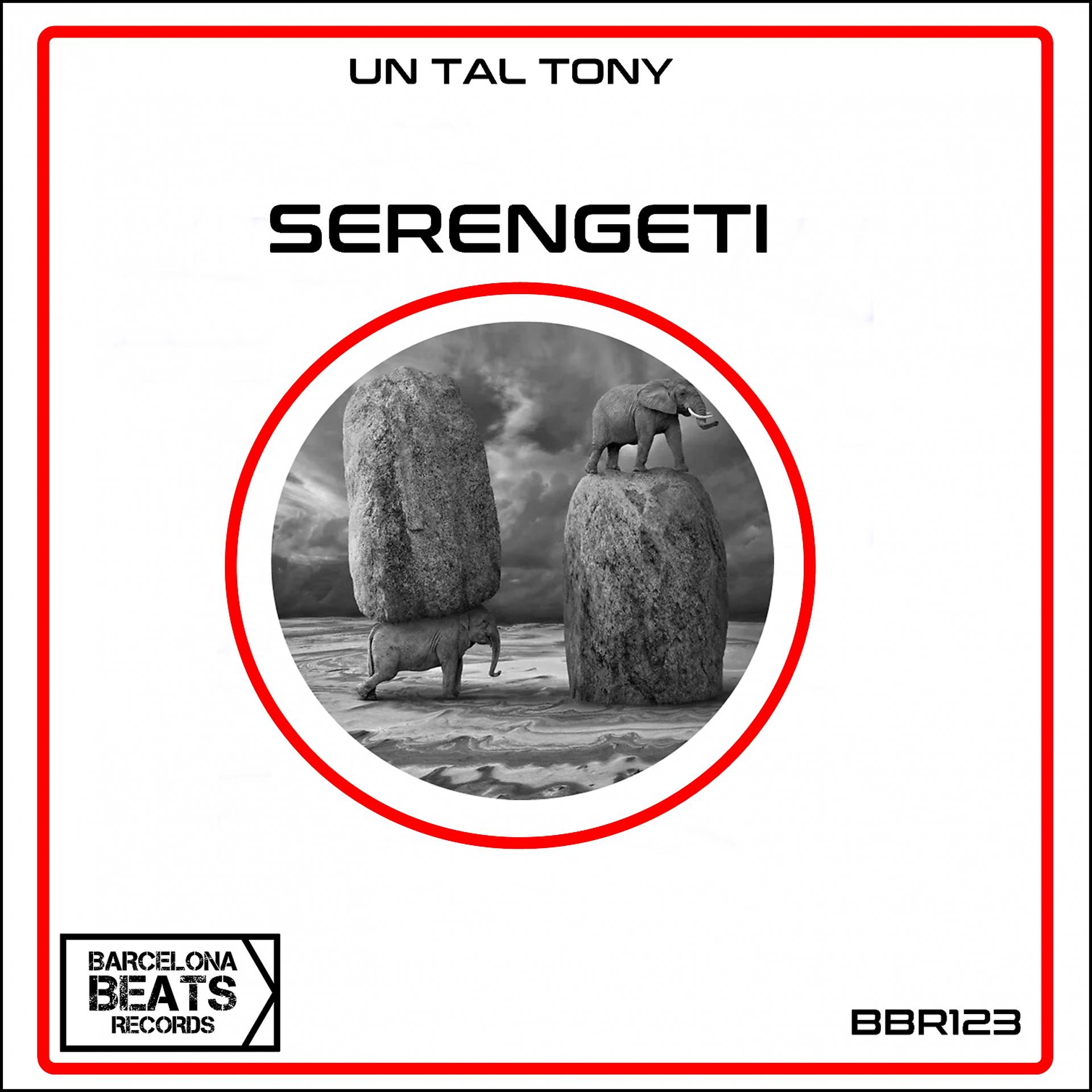 Постер альбома Serengeti