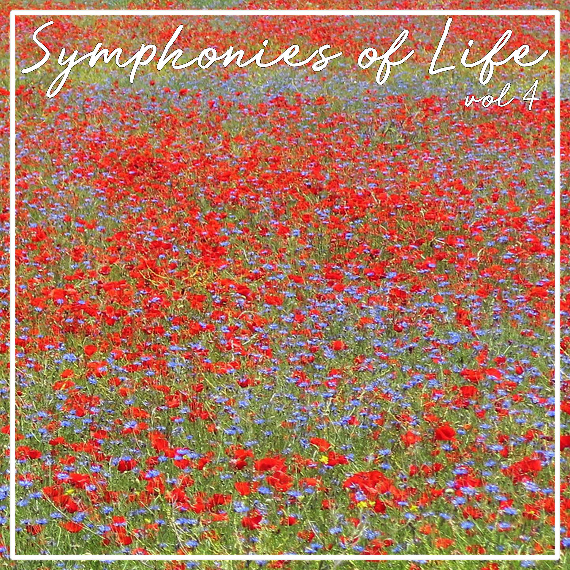 Постер альбома Symphonies Of Life, Vol. 4 - Mozart: Serenaden & Divertimenti