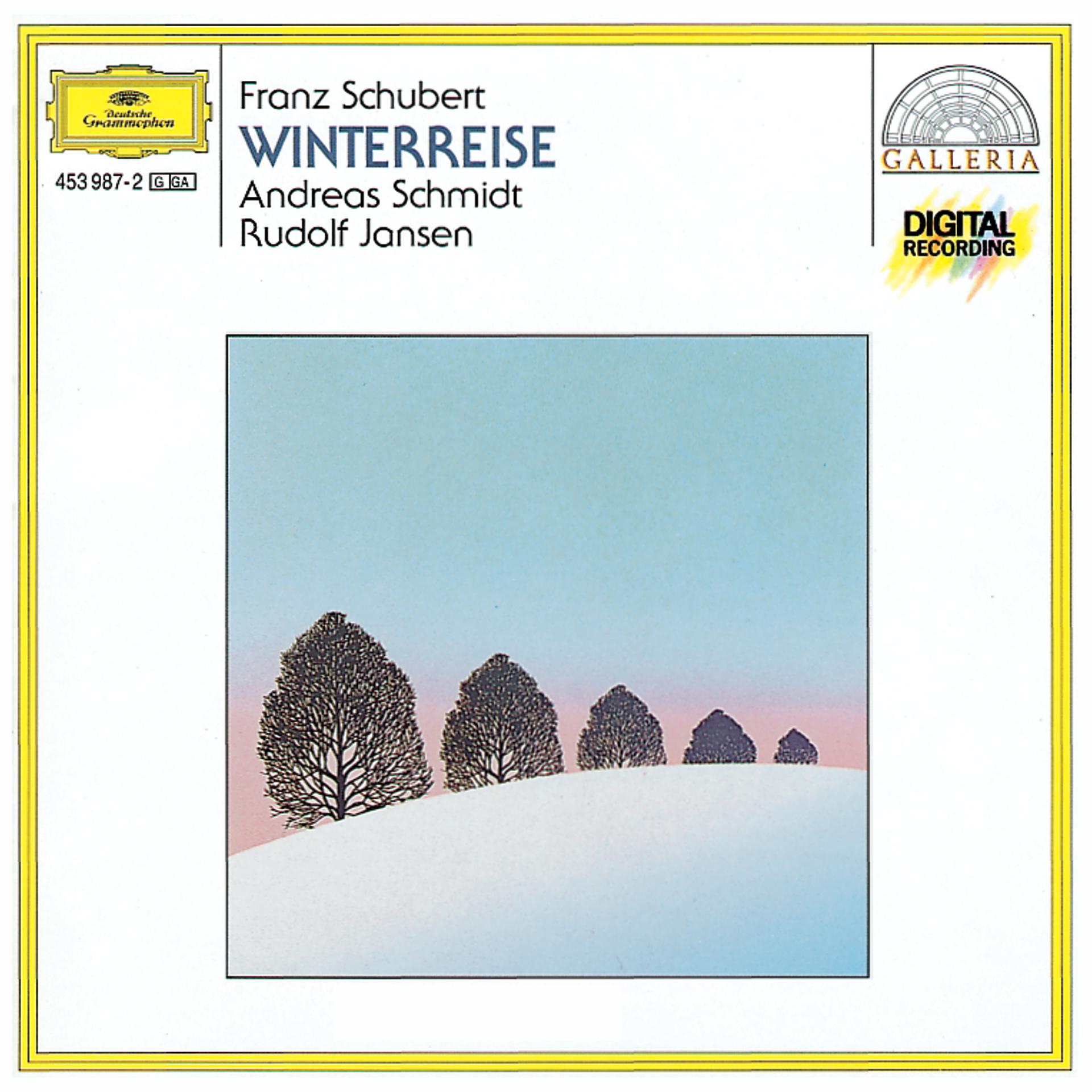 Постер альбома Schubert: Winterreise D 911