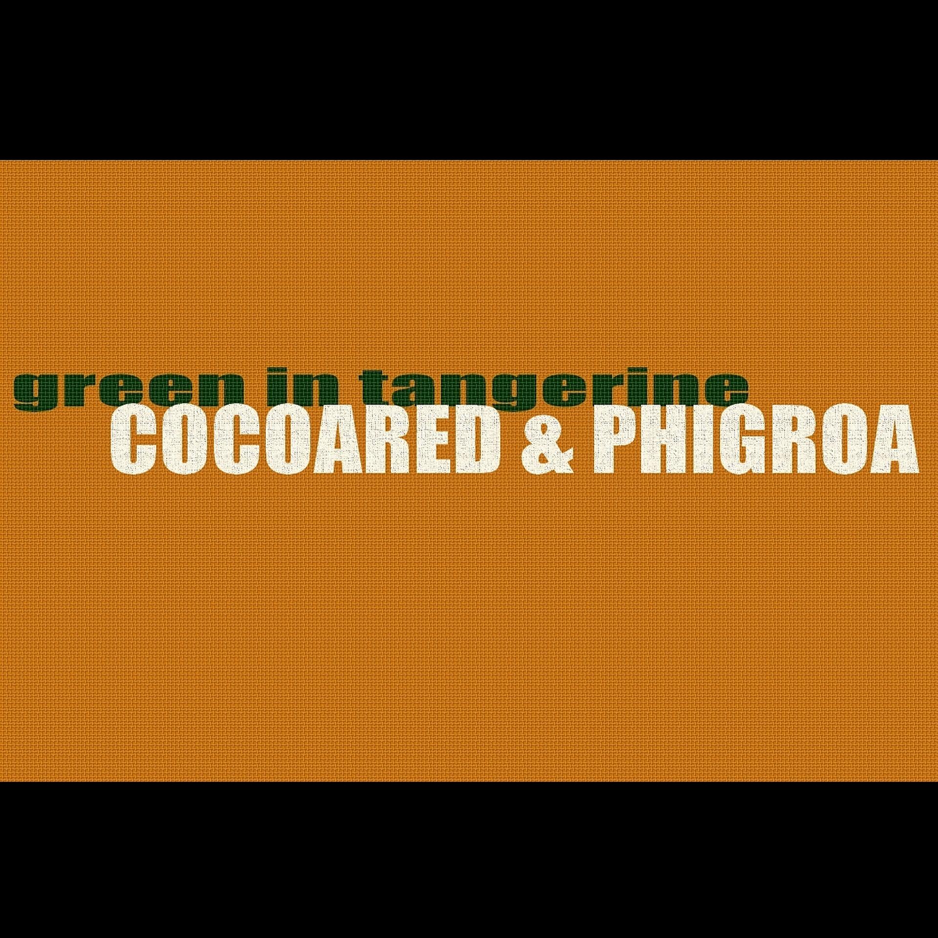 Постер альбома Green In Tangerine (feat. Phigroa)