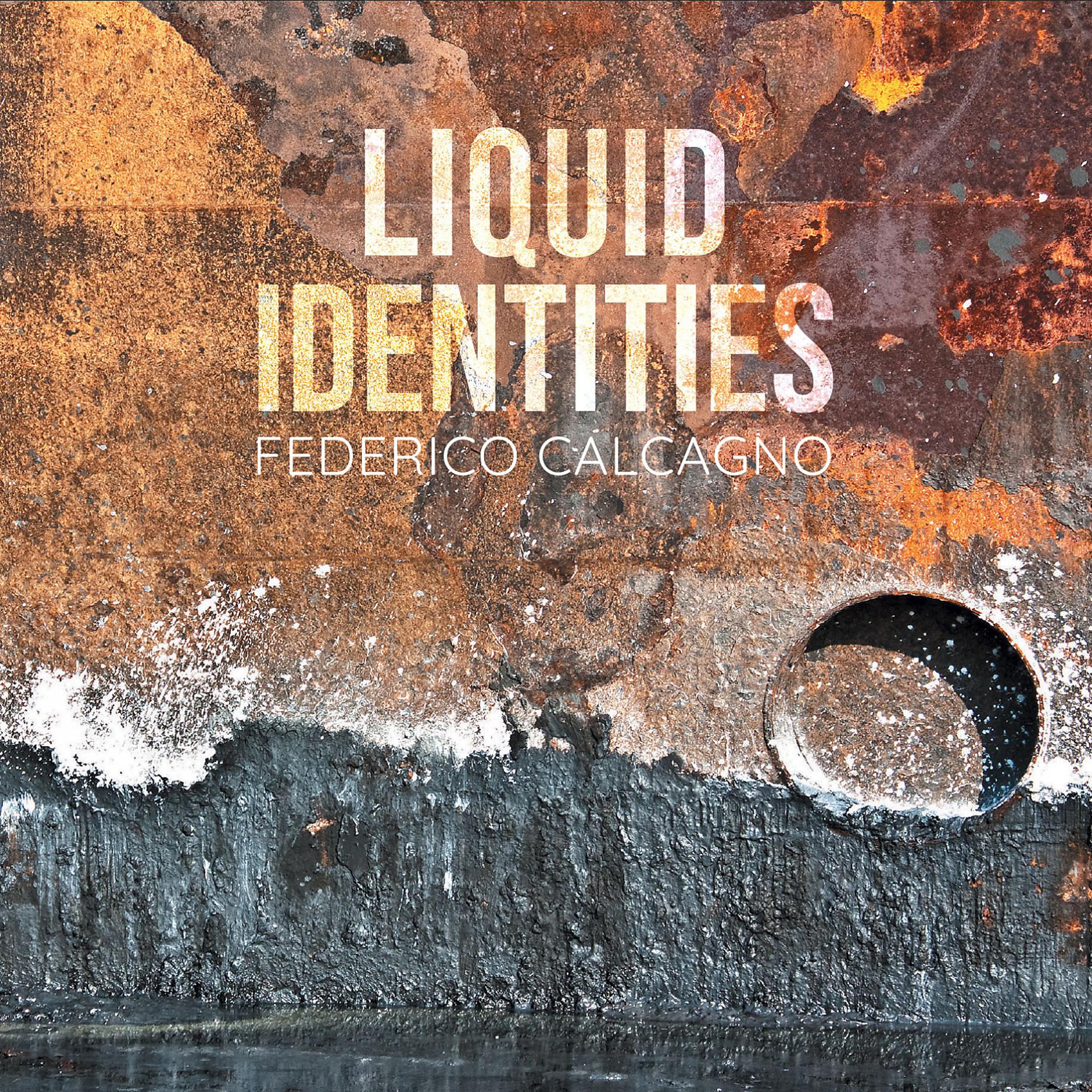 Постер альбома Liquid Identities