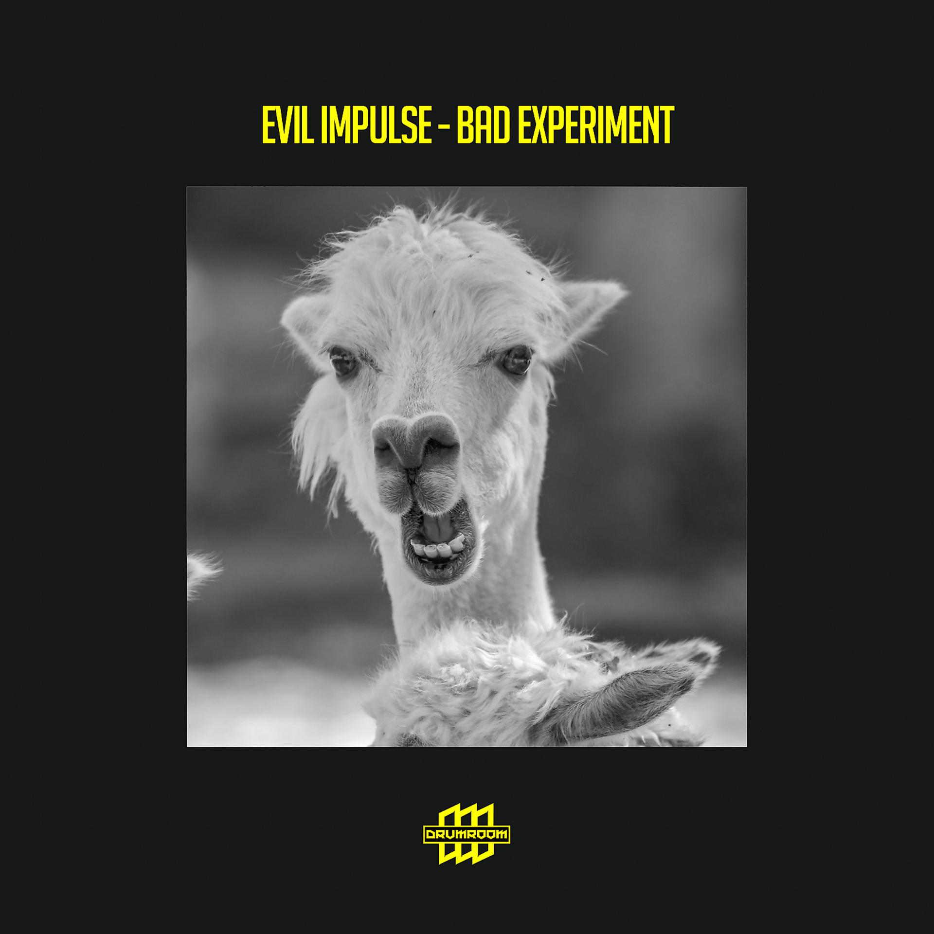 Постер альбома Bad Experiment