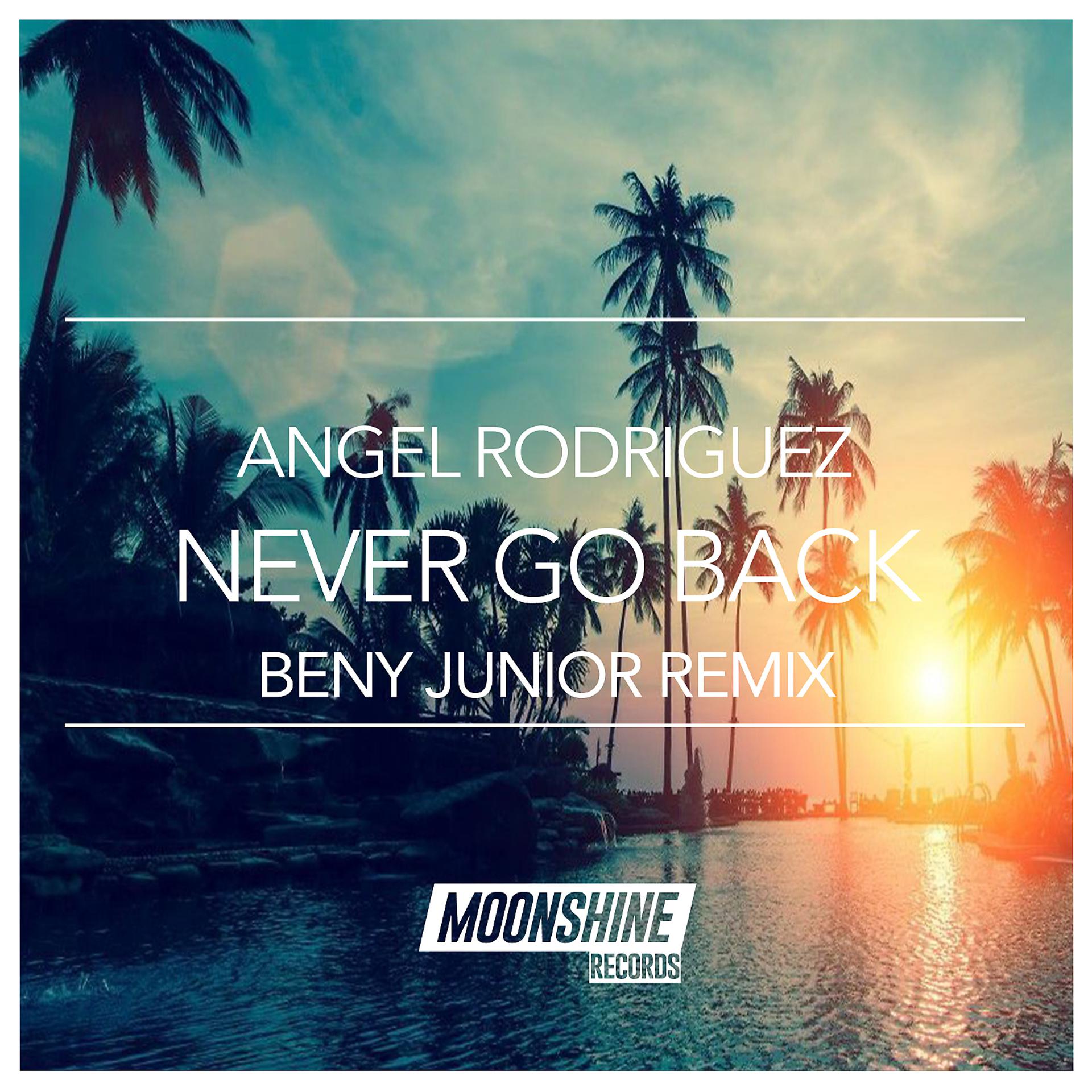 Постер альбома Never Go Back (Beny Junior Remix)