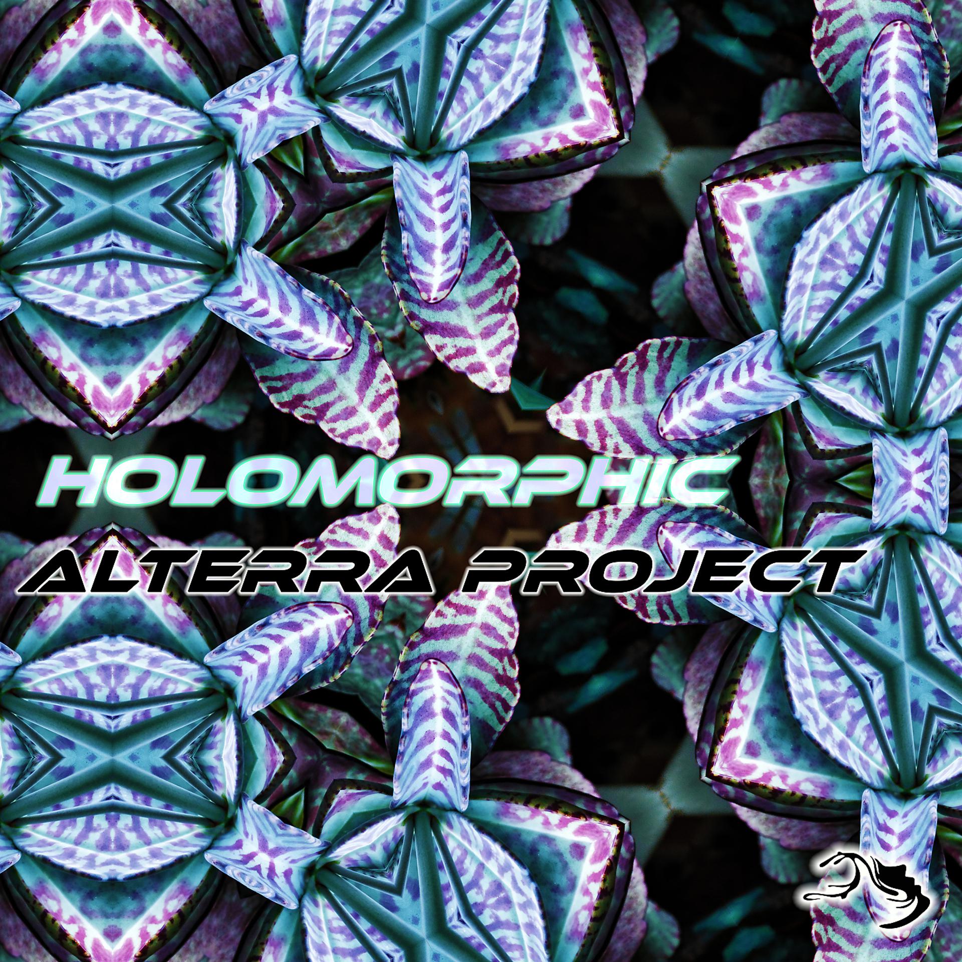 Постер альбома Holomorphic