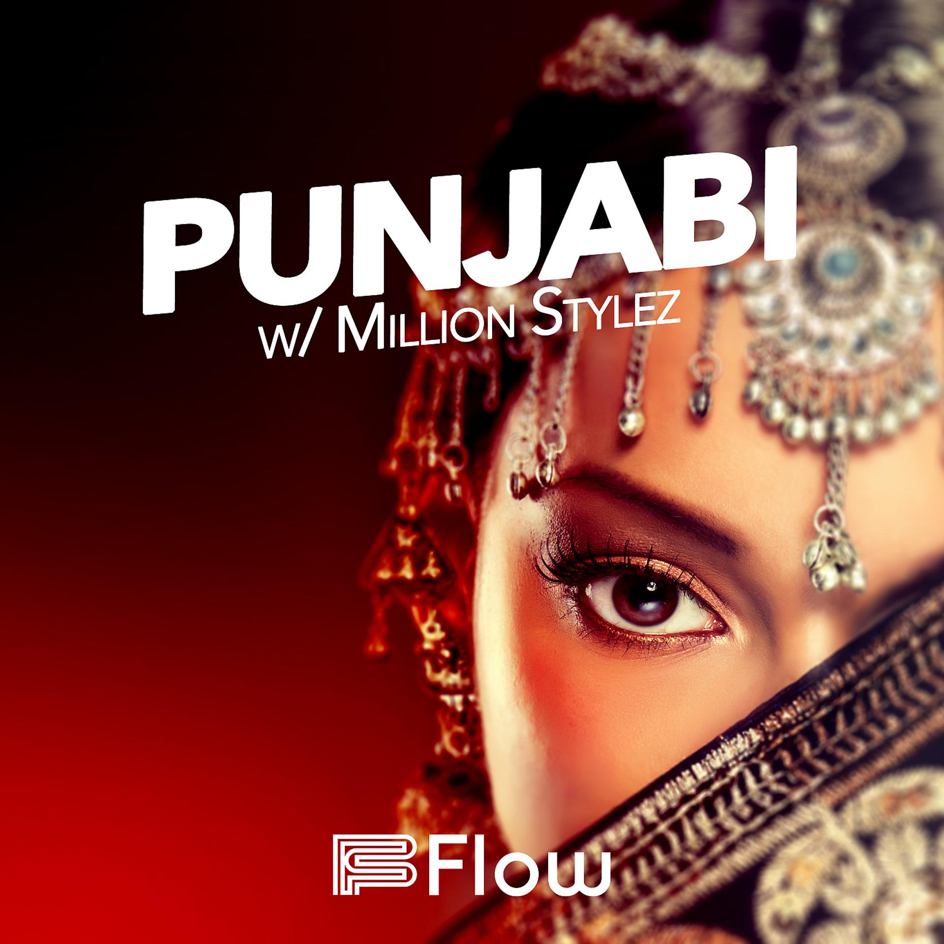 Постер альбома Punjabi