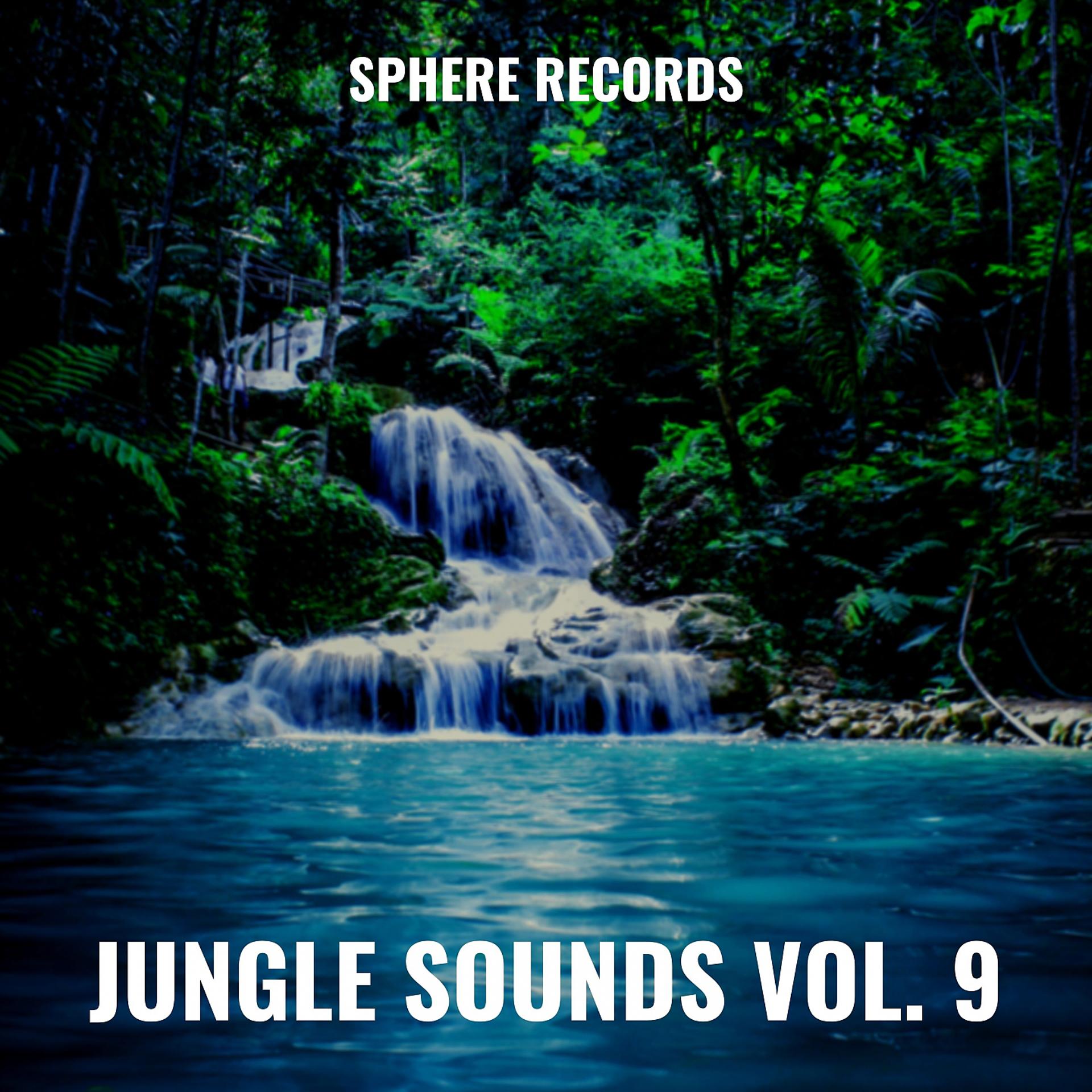 Постер альбома Jungle Sounds Vol. 9