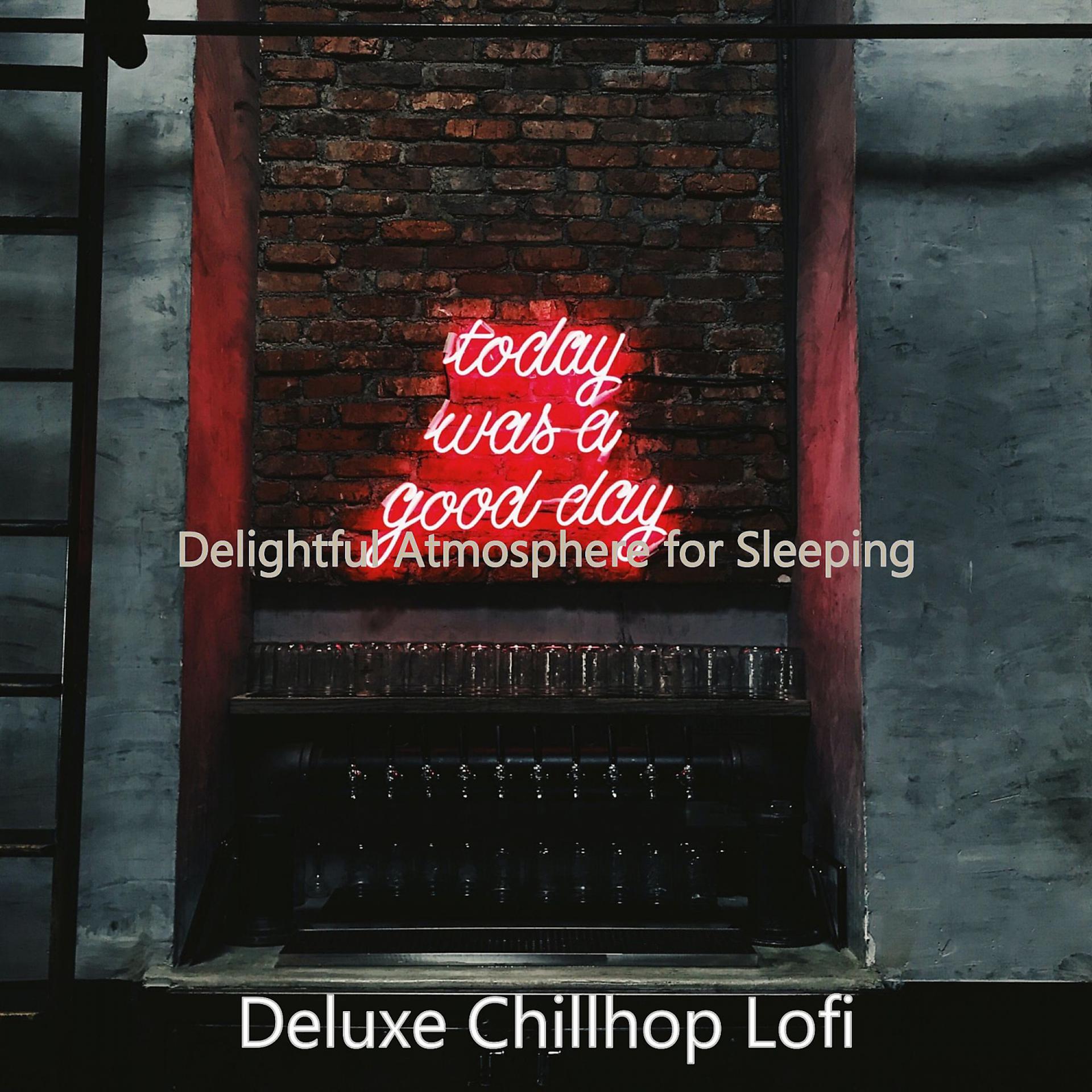 Постер альбома Delightful Atmosphere for Sleeping