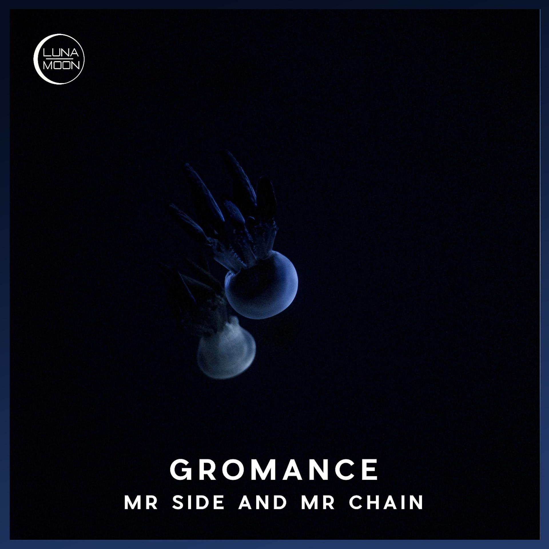 Постер альбома Mr Side and Mr Chain