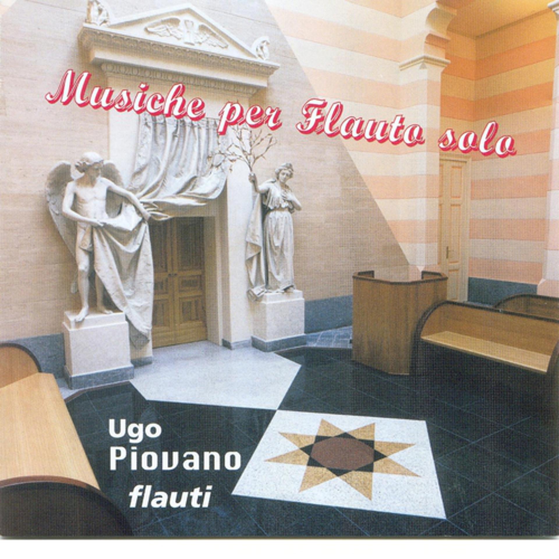 Постер альбома Musiche Per Flauto Solo