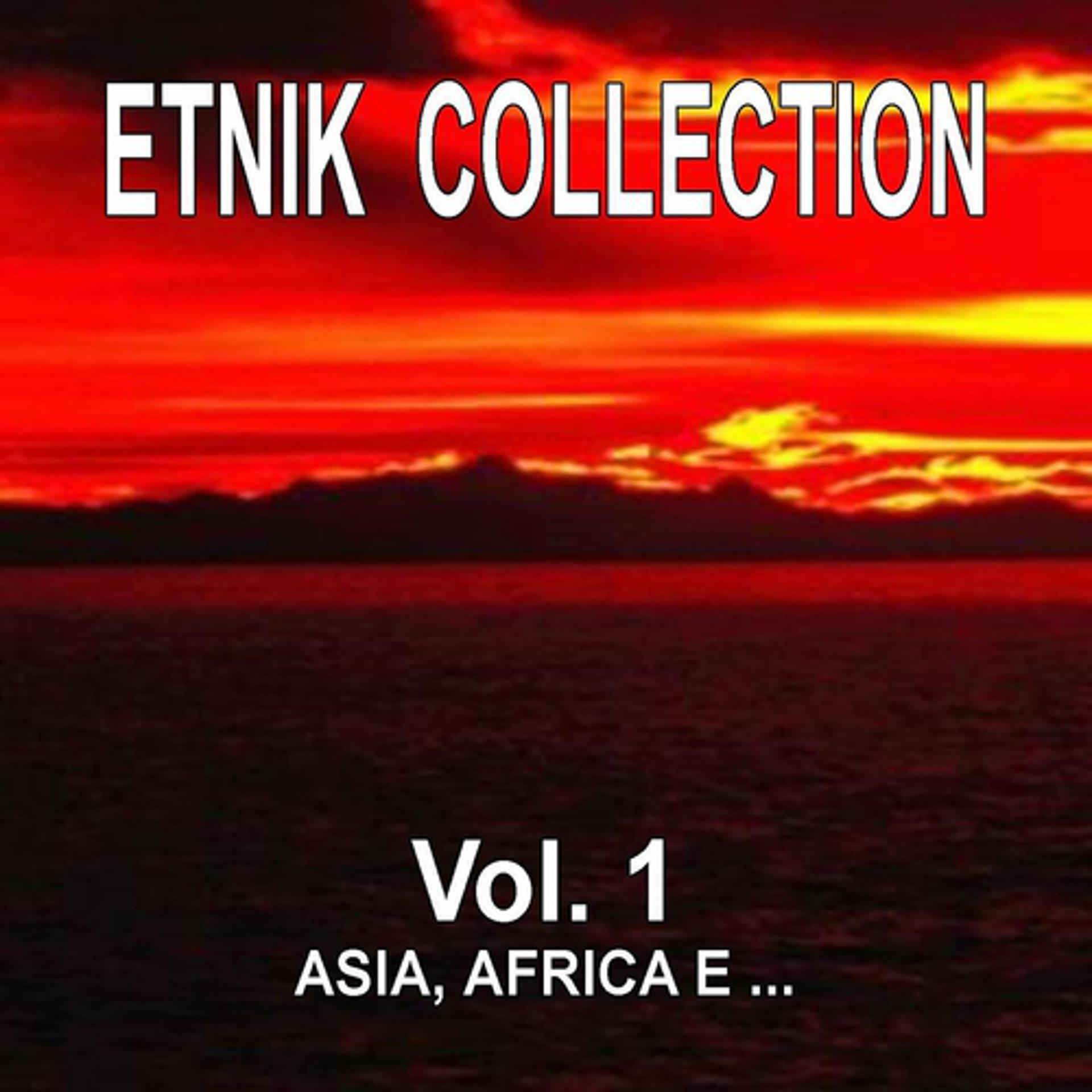Постер альбома Etnik Collection Vol. 1