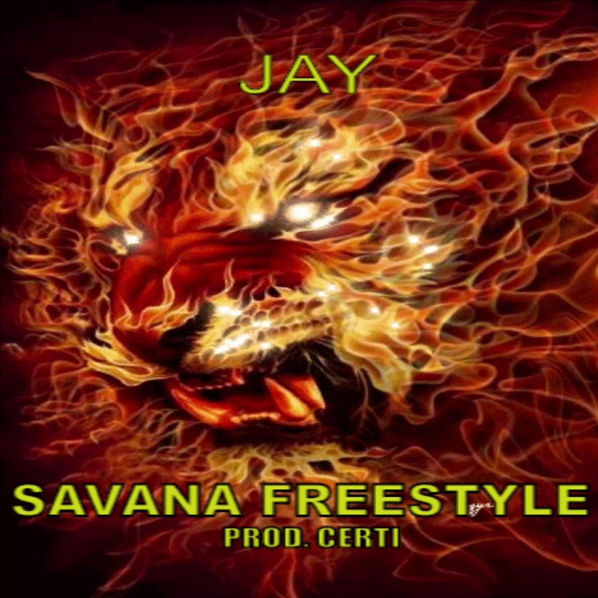 Постер альбома Savana freestyle