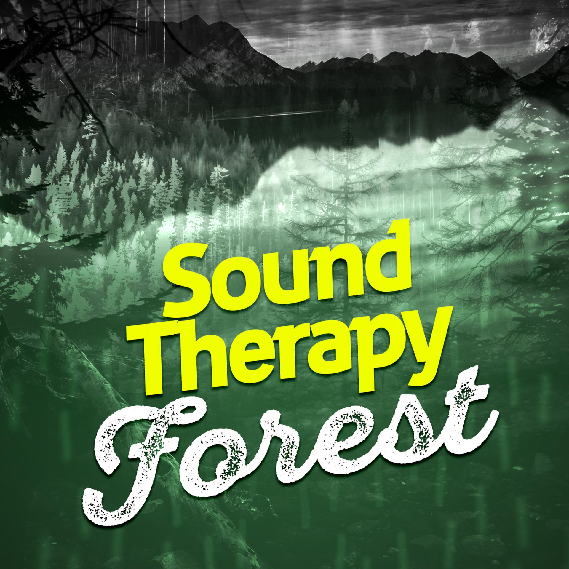 Постер альбома Sound Therapy - Forest