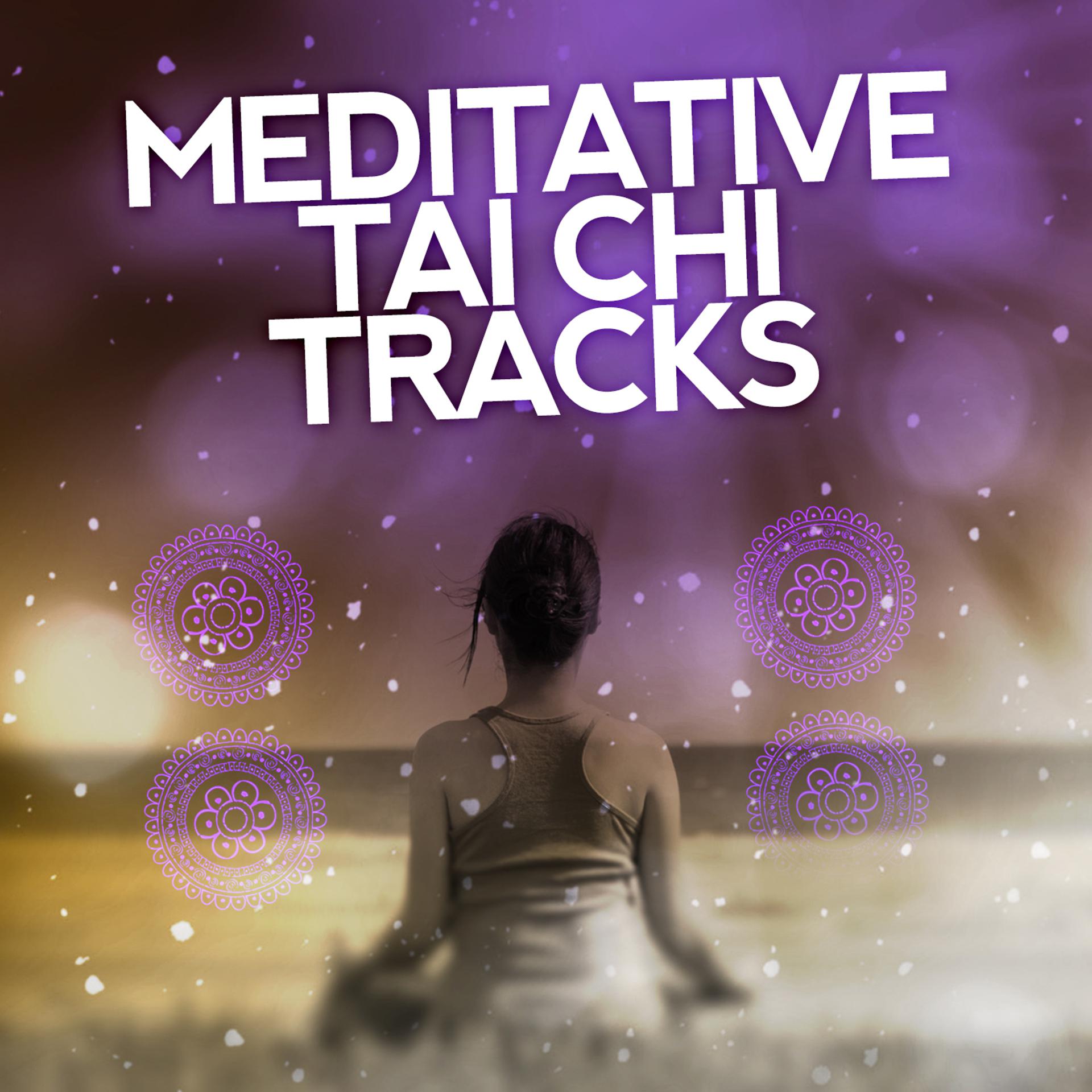 Постер альбома Meditative Tai Chi Tracks