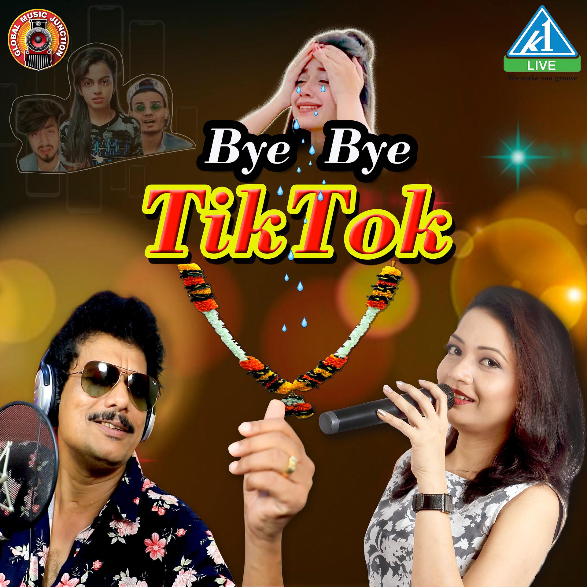 Постер альбома Bye Bye TikTok - Single