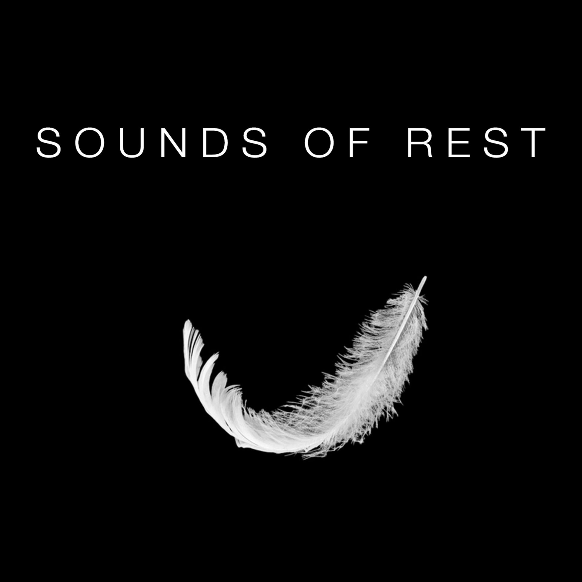 Постер альбома Sounds of Rest