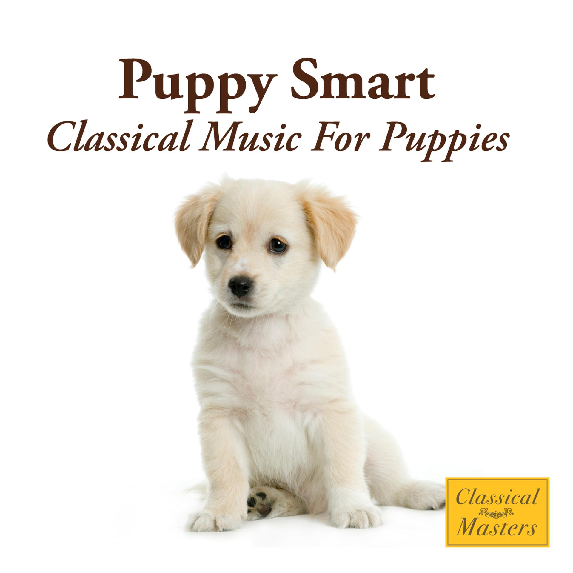 Постер альбома Puppy Smart - Classical Music For Puppies