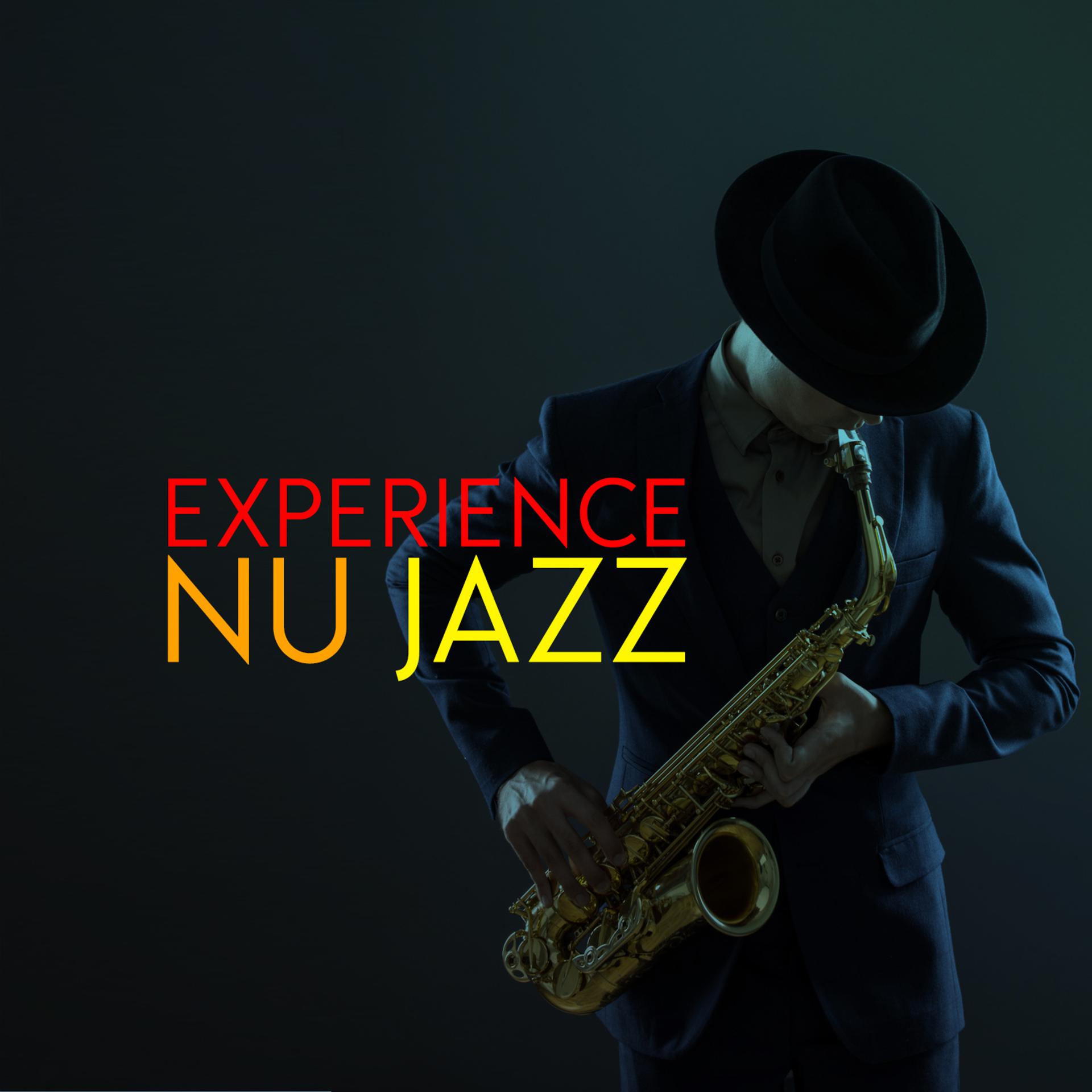 Постер альбома Experience Nu Jazz