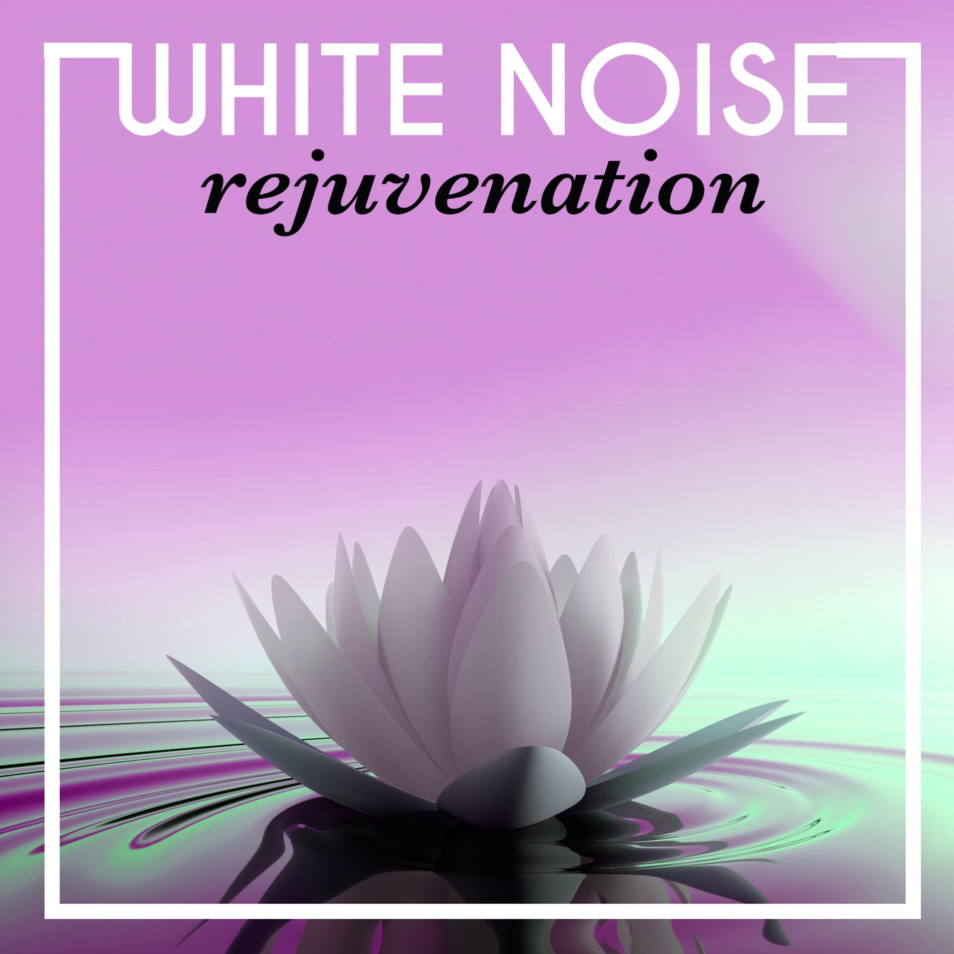 Постер альбома White Noise Rejuvenation