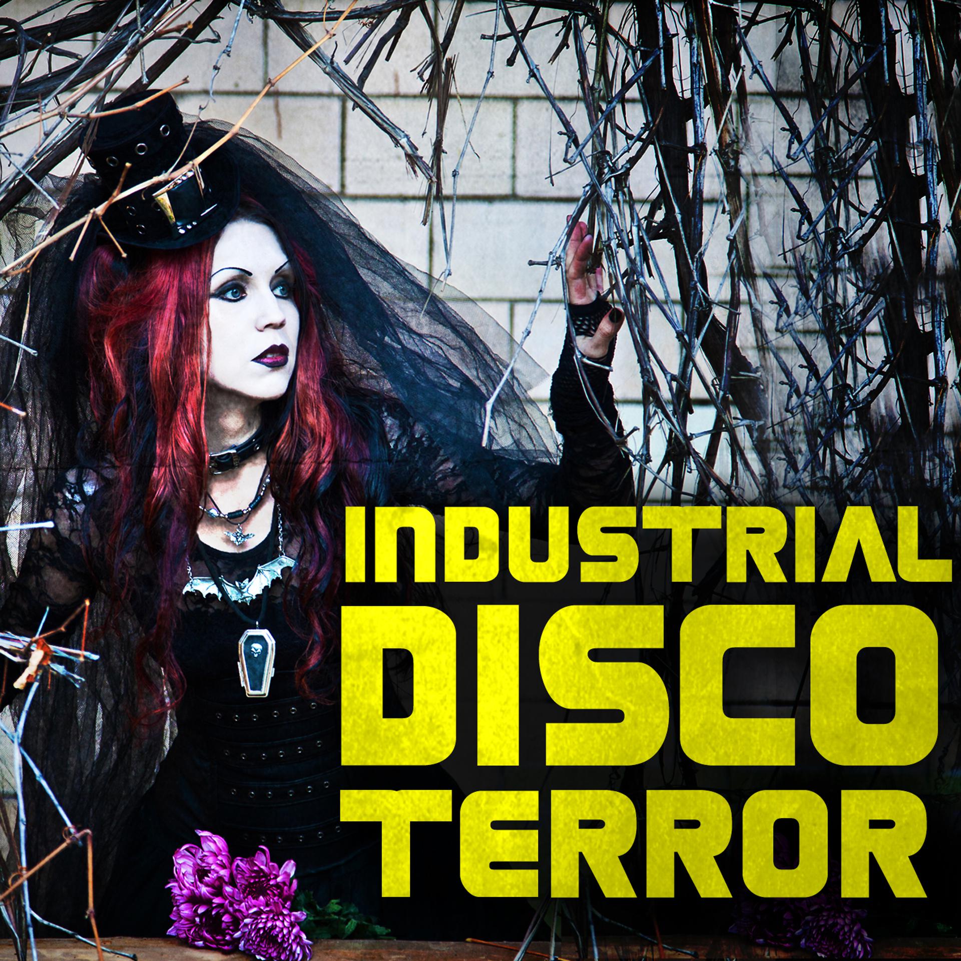 Постер альбома Industrial Disco Terror