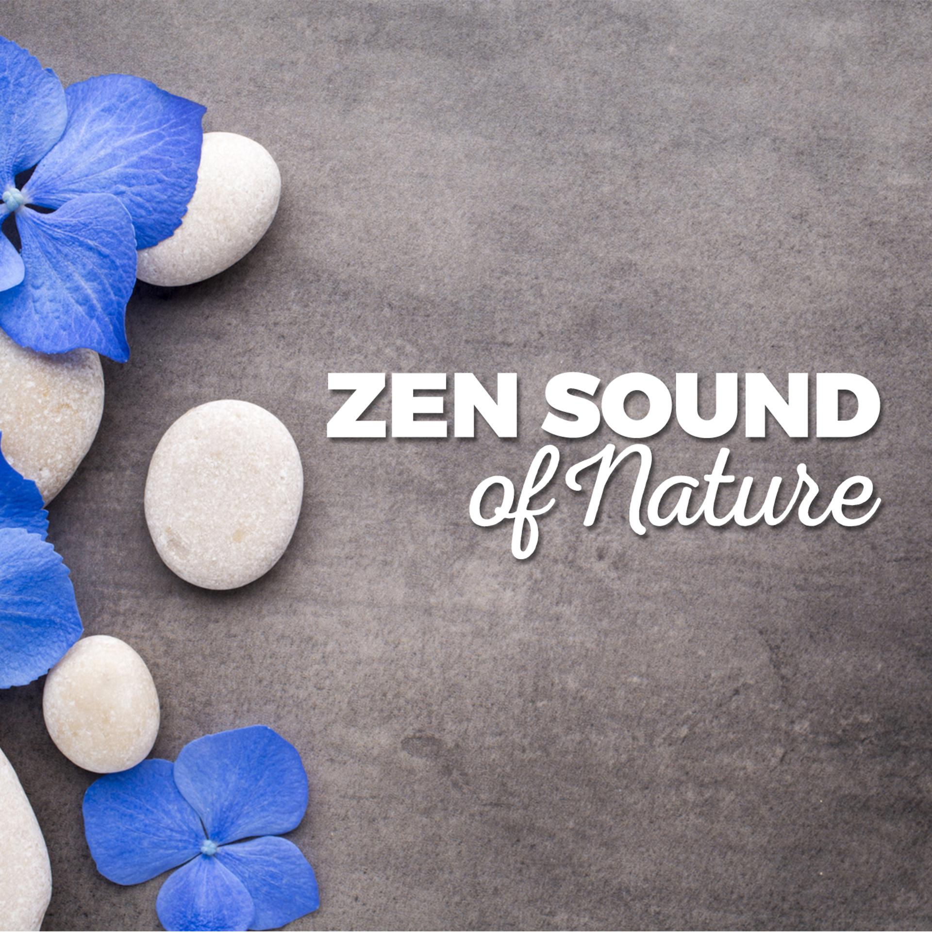 Постер альбома Zen Sound of Nature