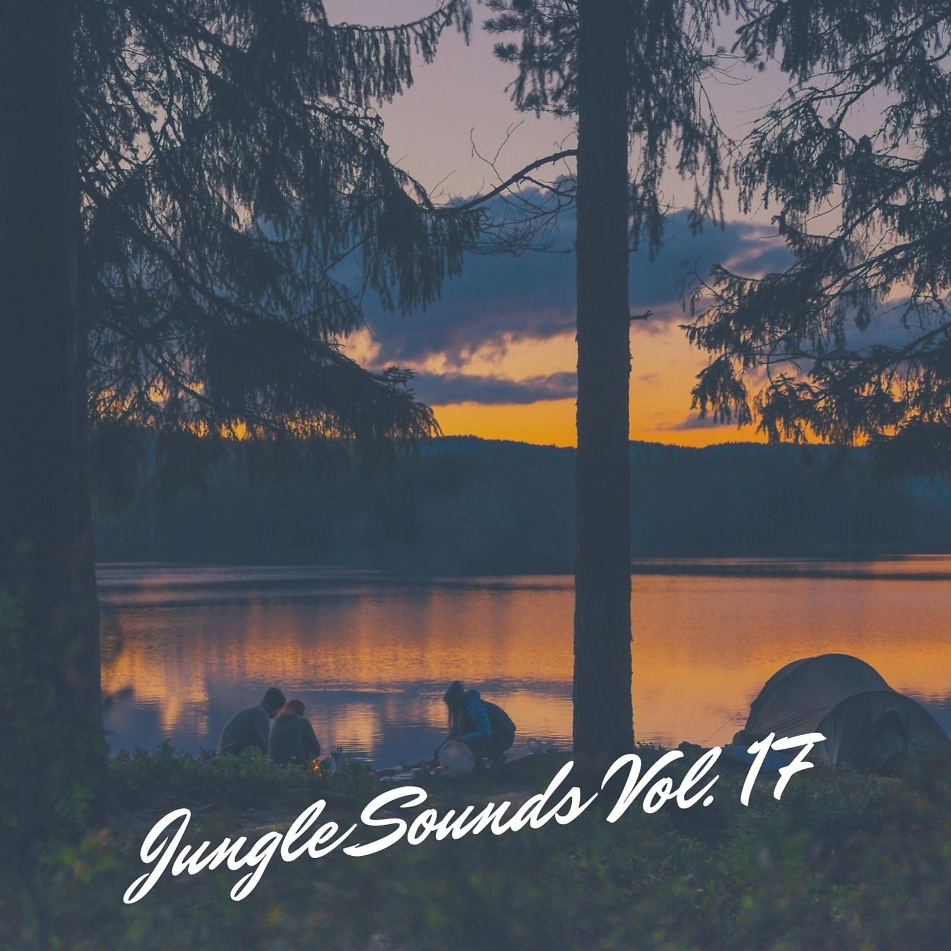 Постер альбома Jungle Sounds Vol. 17