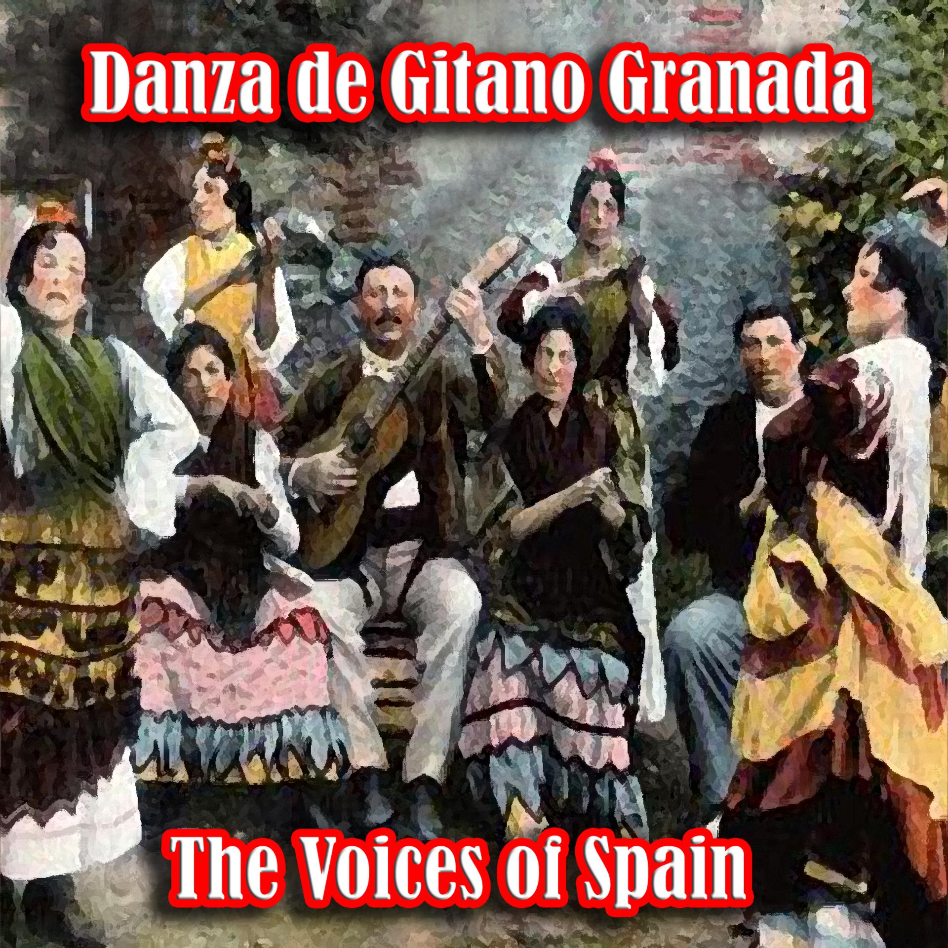 Постер альбома Danza de Gitano Granada