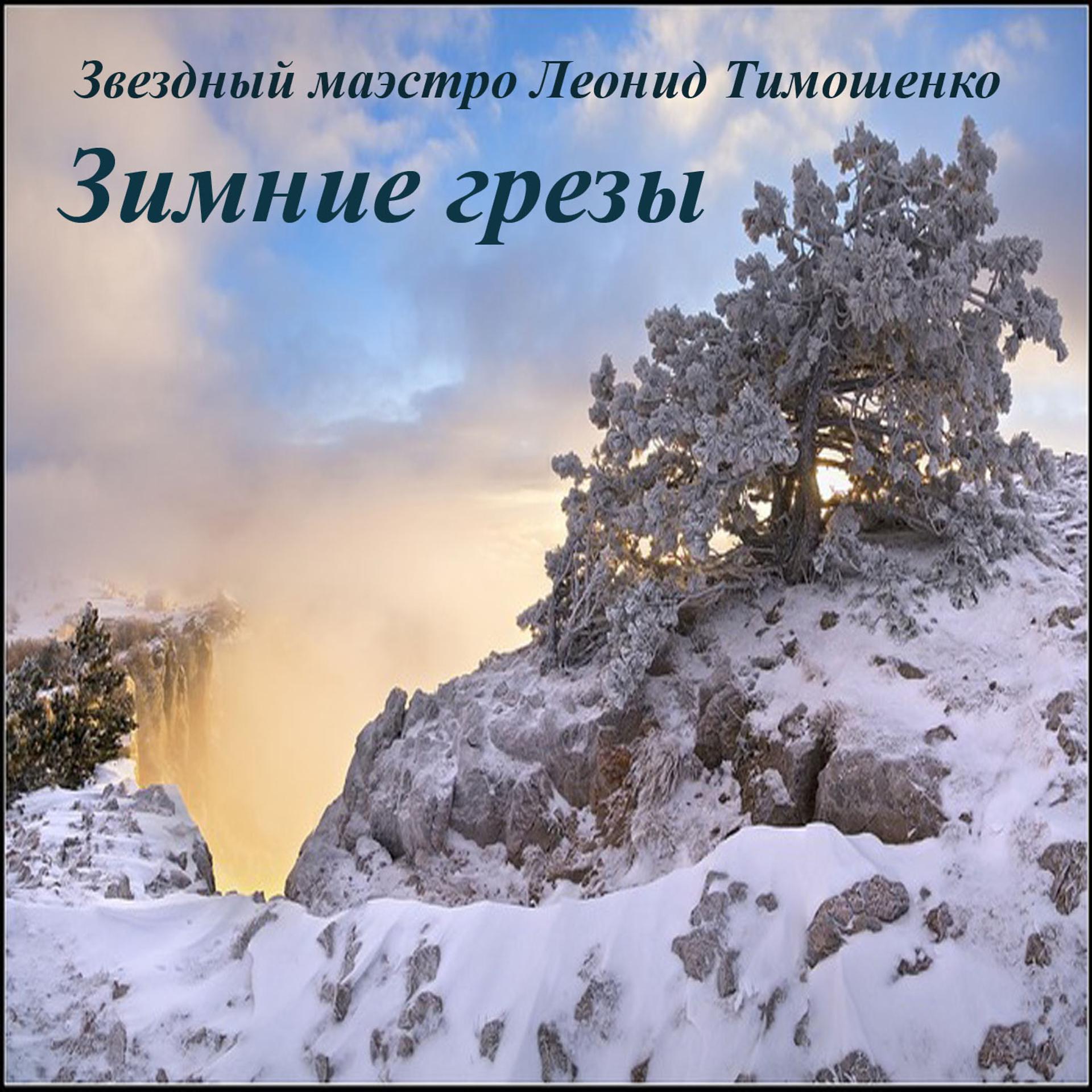 Постер альбома Звездный маэстро Леонид Тимошенко. Зимние грезы
