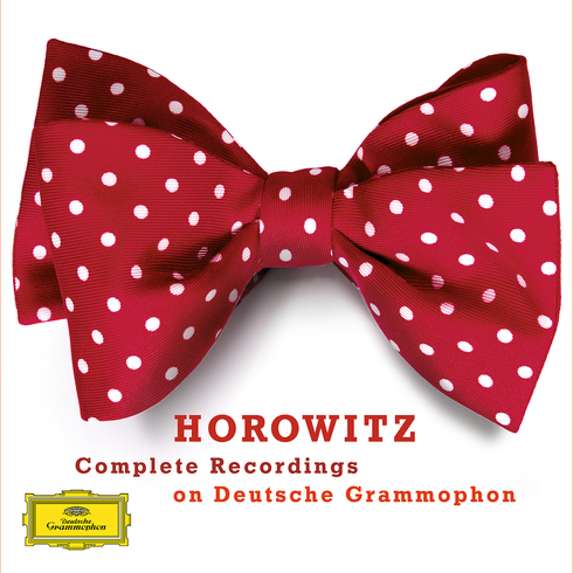 Постер альбома Vladimir Horowitz - Complete Recordings on Deutsche Grammophon