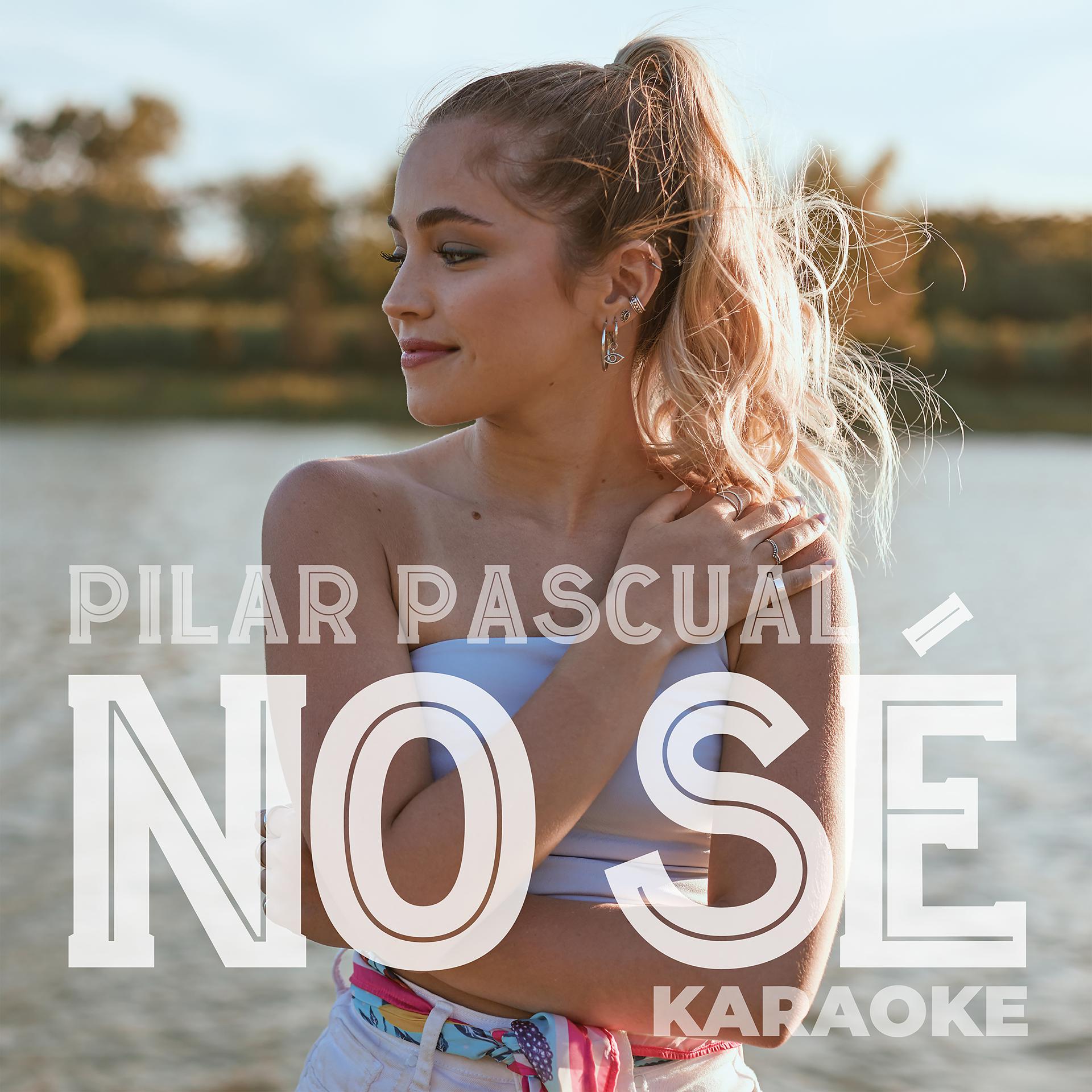 Постер альбома No Sé (Karaoke)